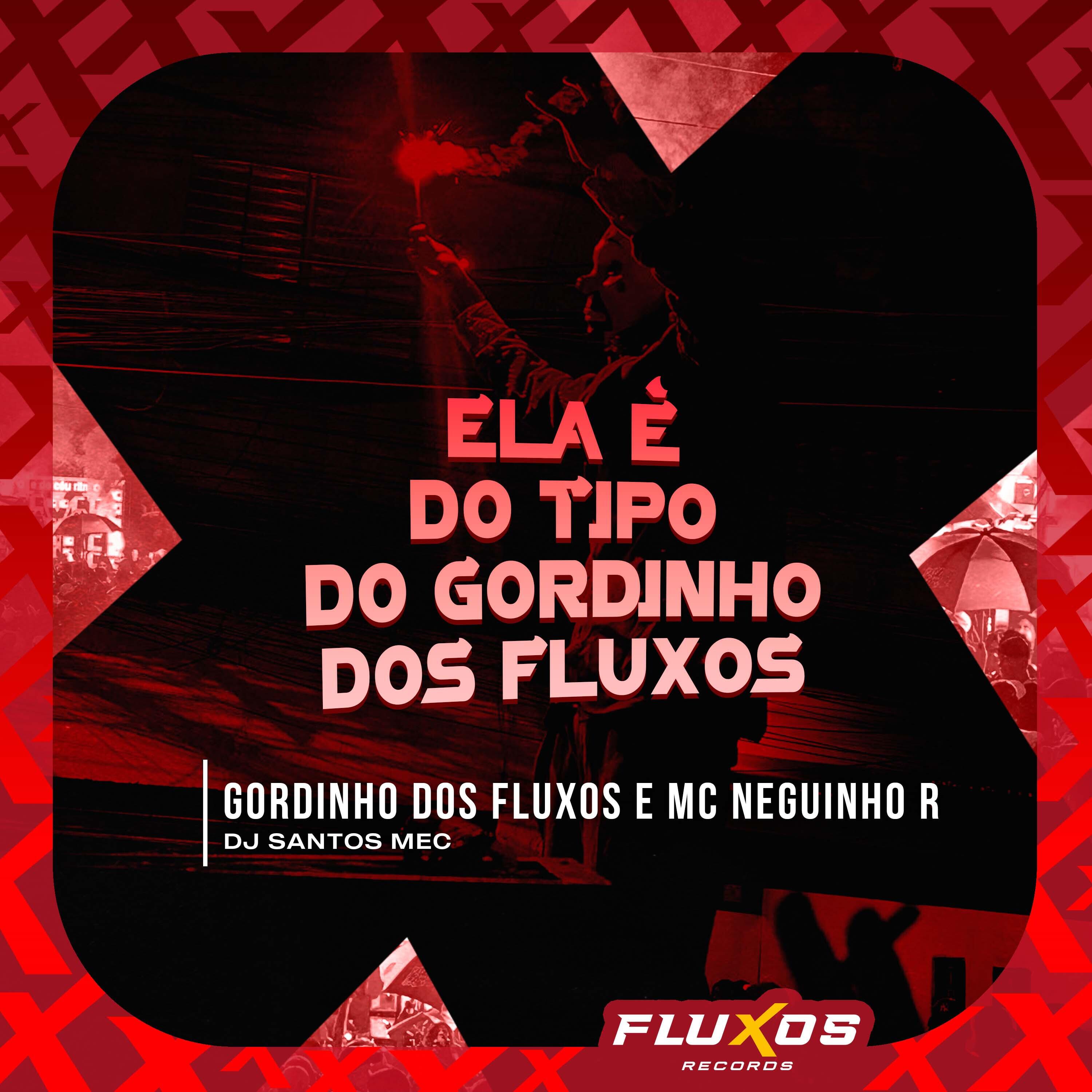 Релиз Ela É do Tipo do Gordinho dos Fluxos