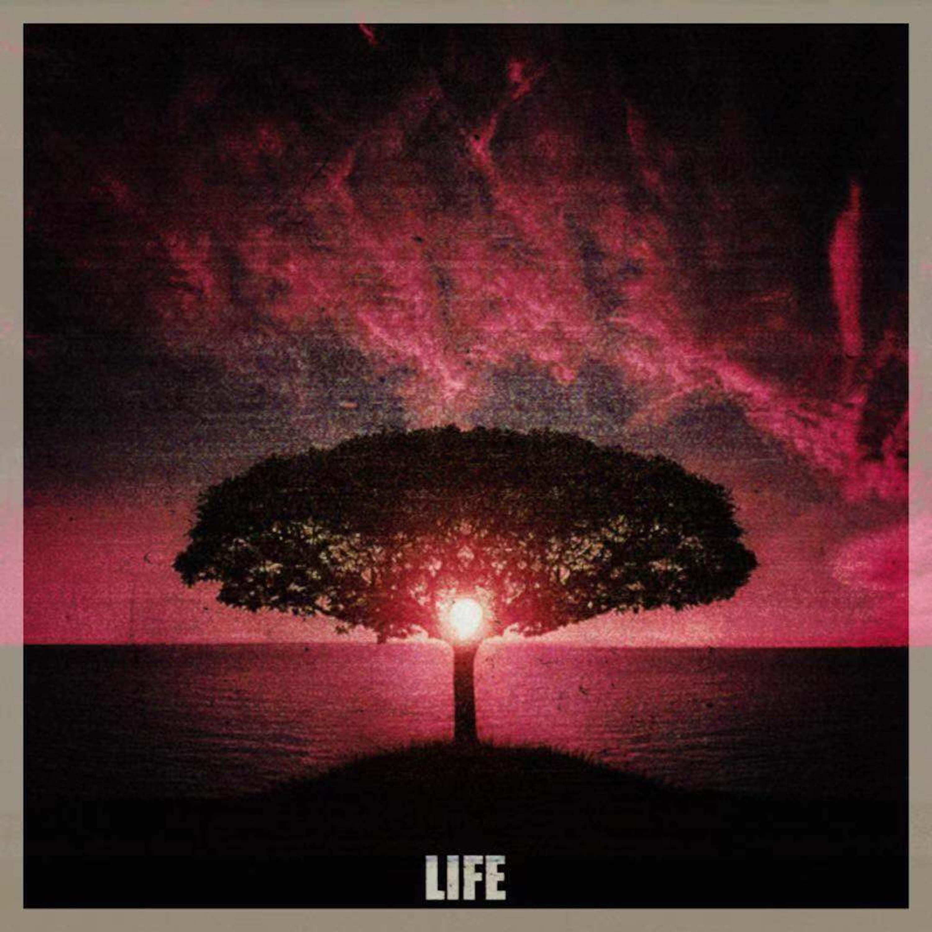 Релиз LIFE
