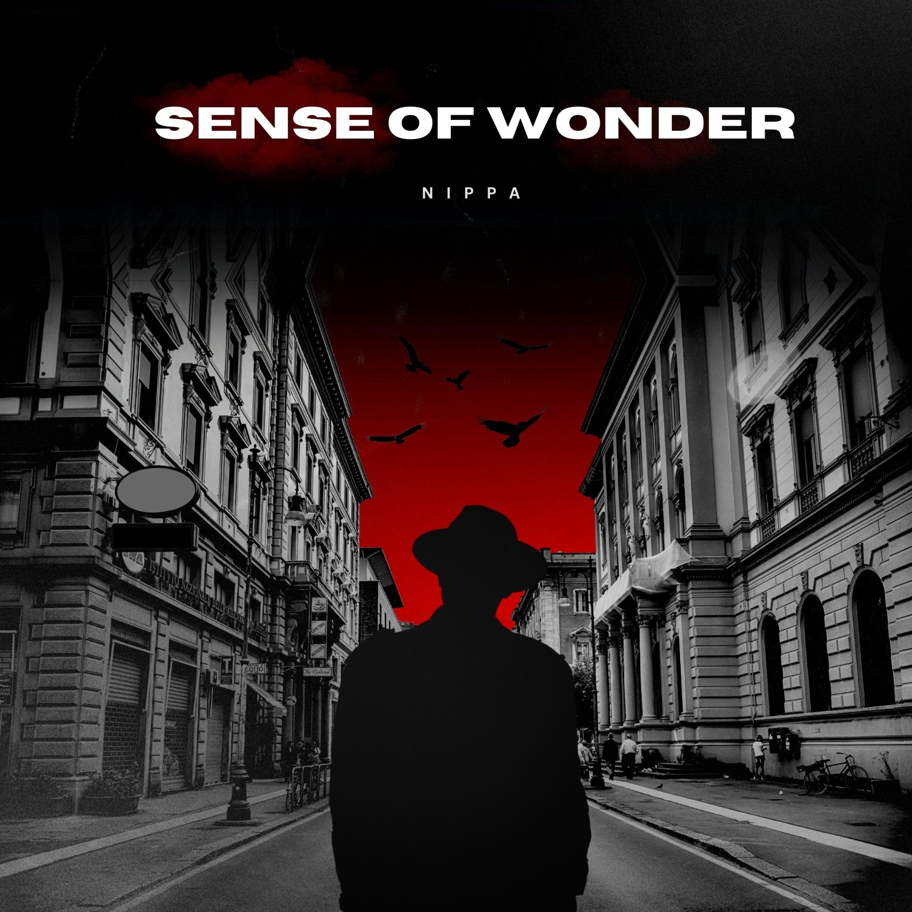 Релиз Sense of Wonder (Slowed + Reverb)