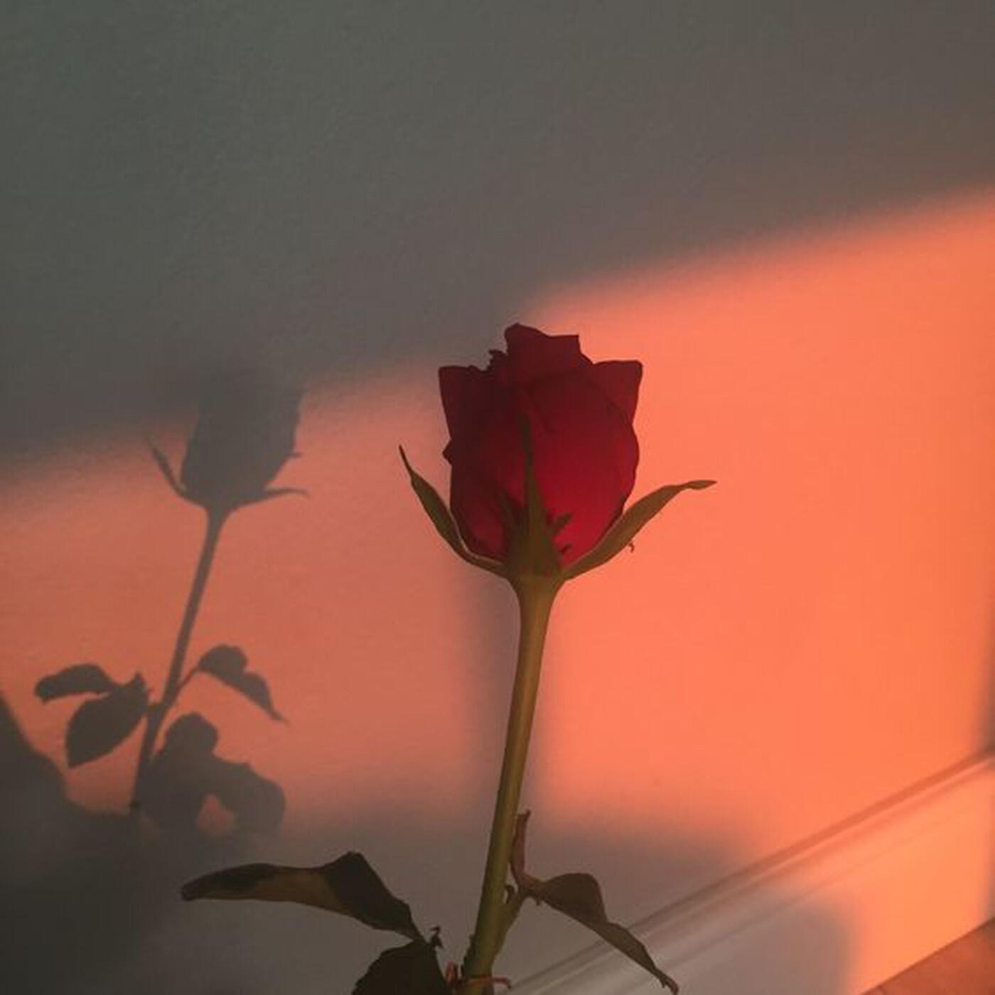 Релиз Me And U