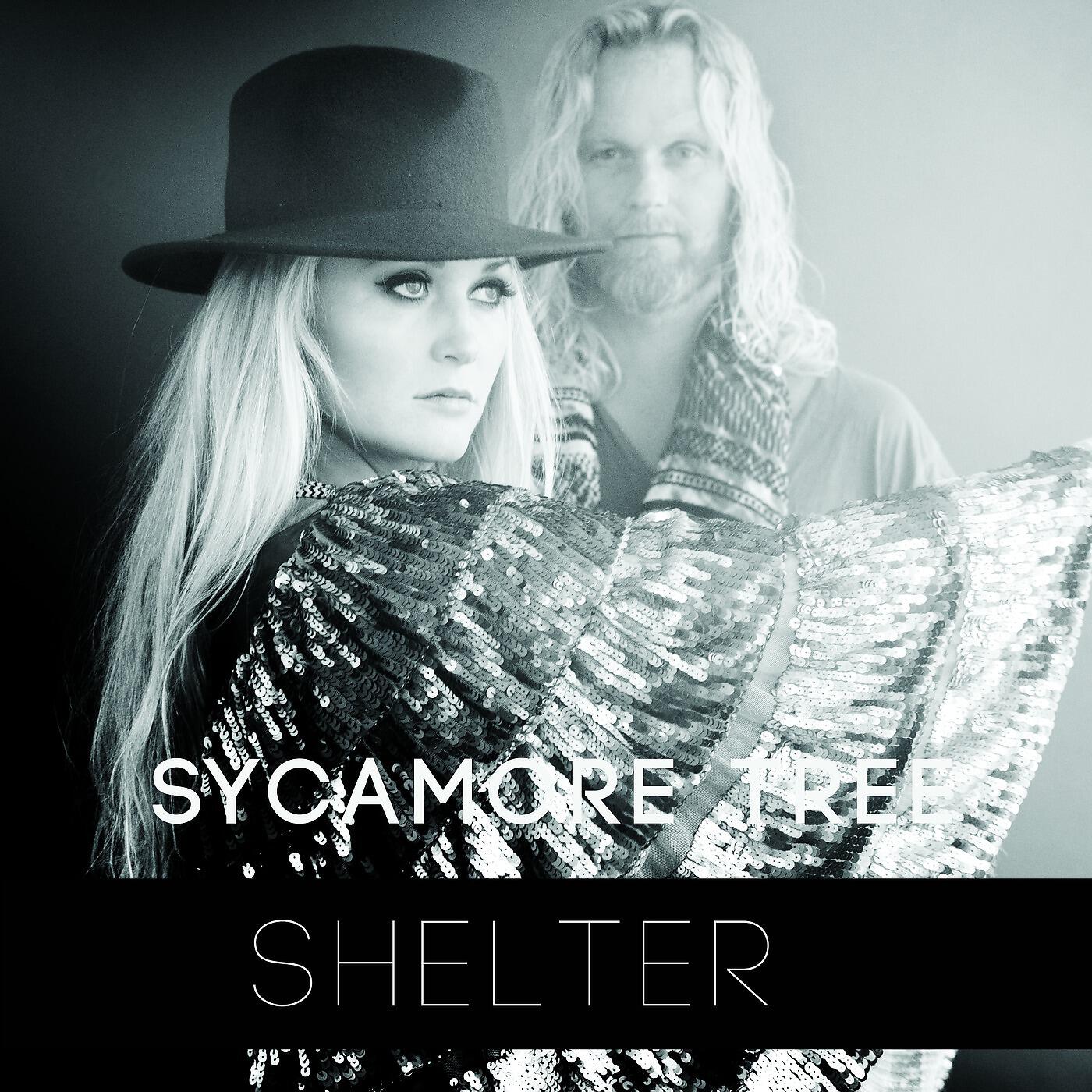 Релиз Shelter (Magnus Johann Remix)