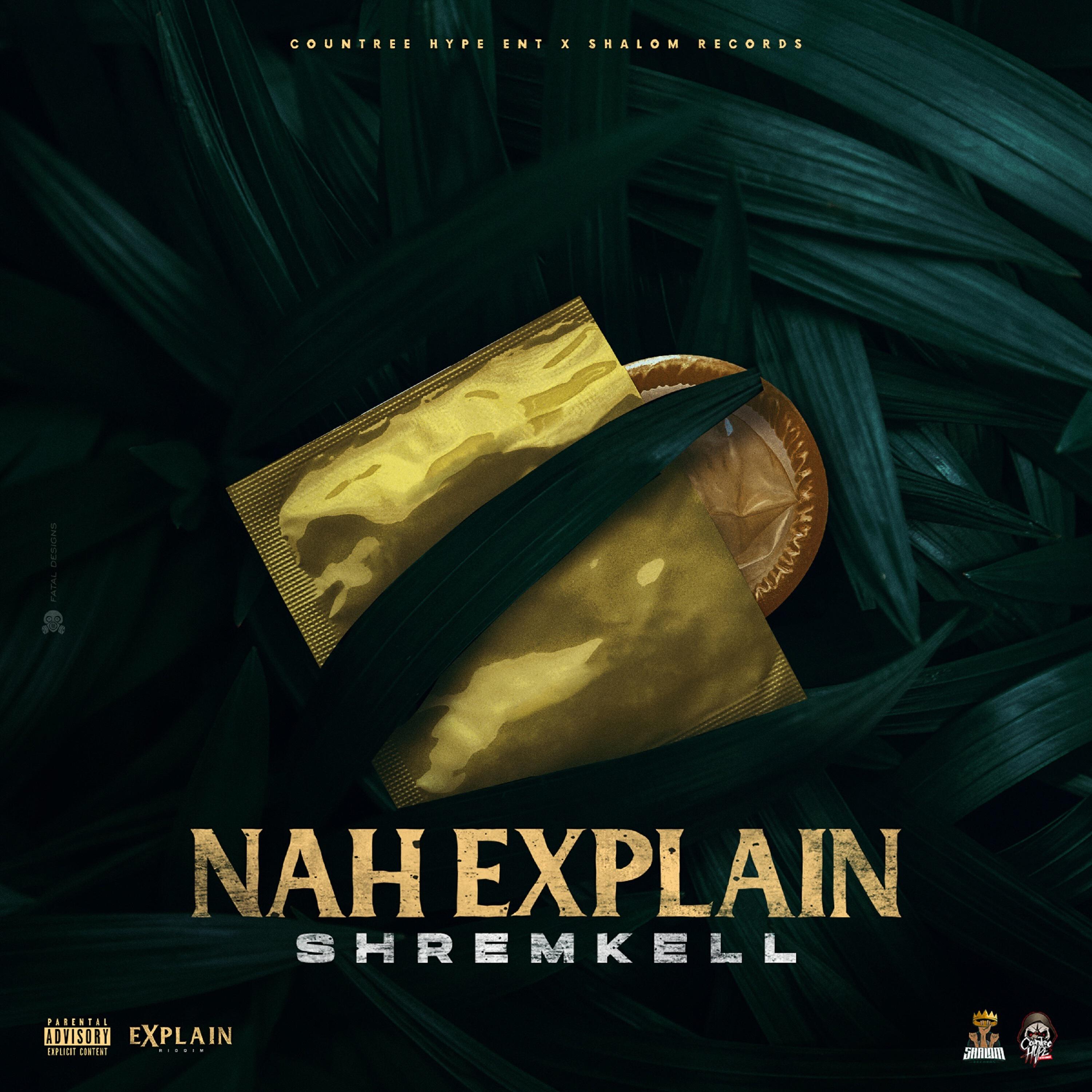 Релиз Nah Explain