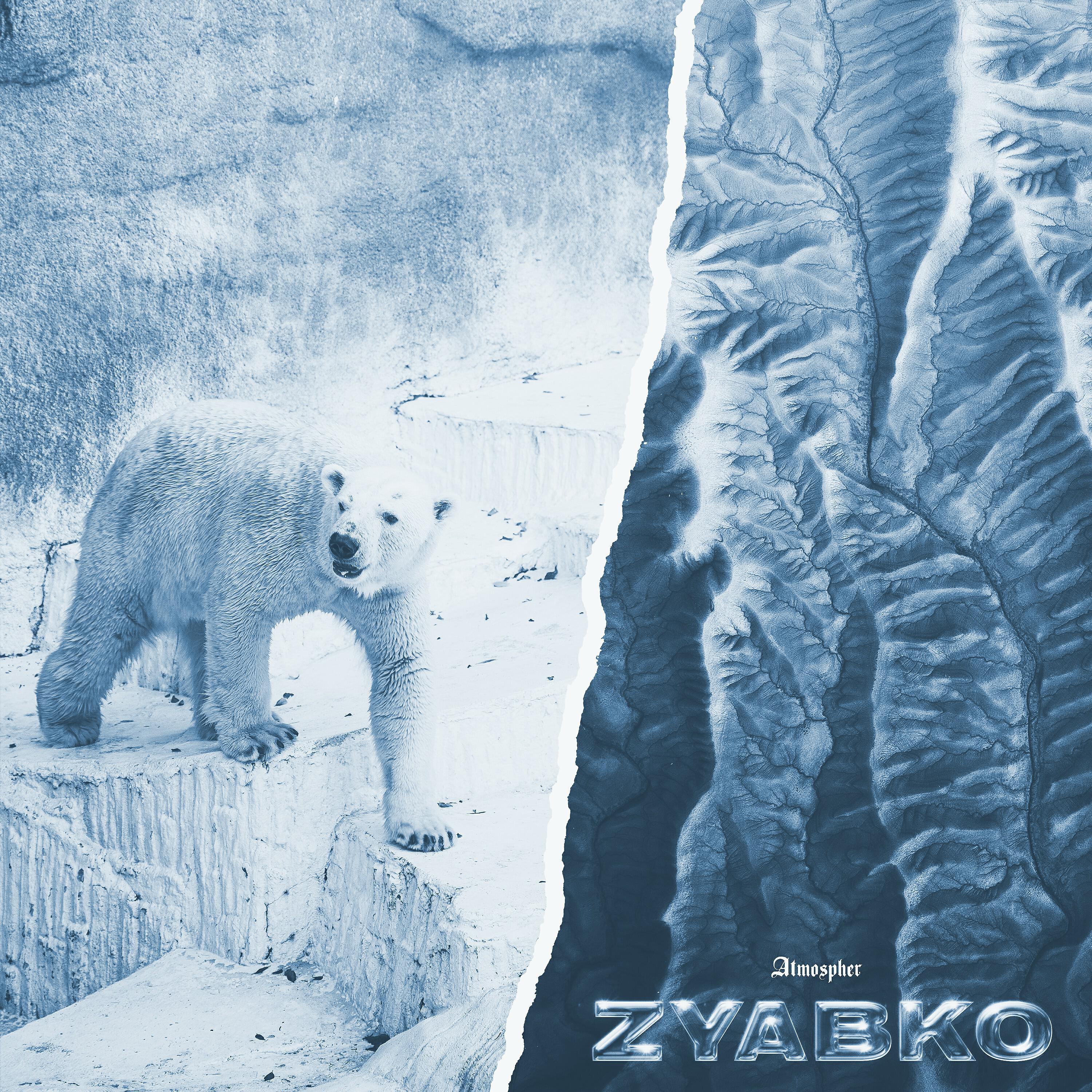 Постер альбома Zyabko
