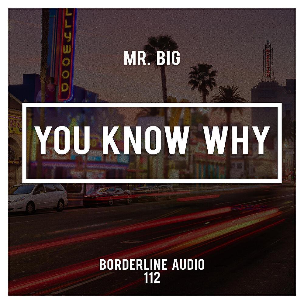 Mr. Big