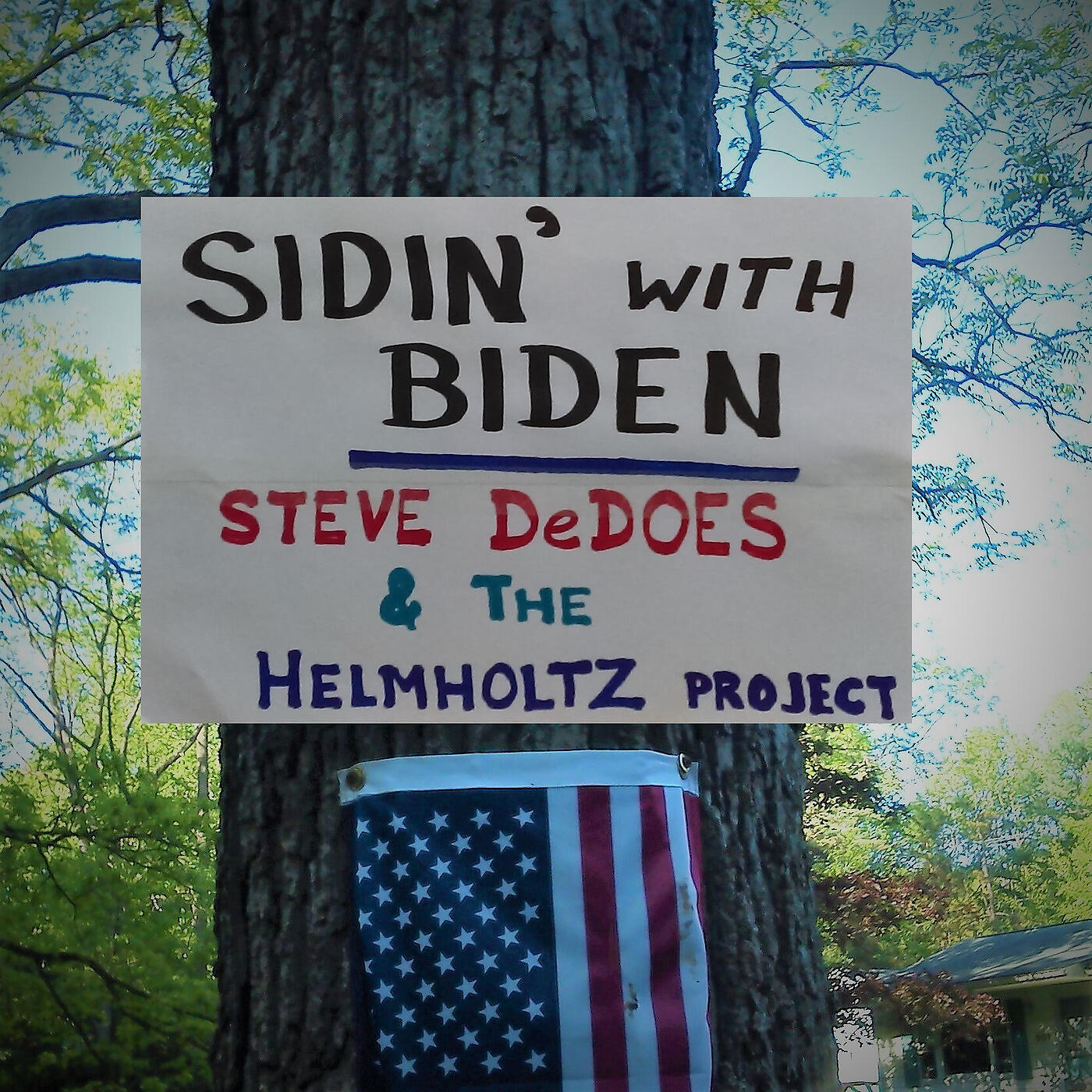 Steve DeDoes & the Helmholtz Project
