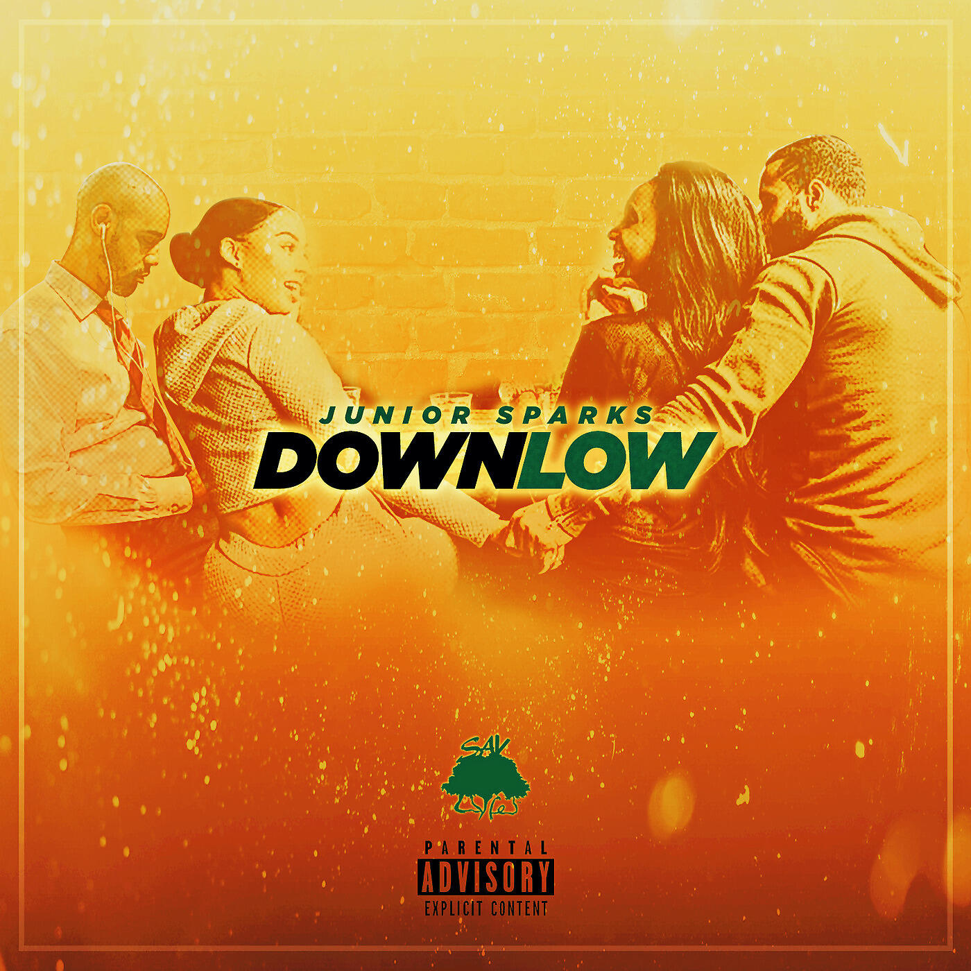 Релиз Down Low