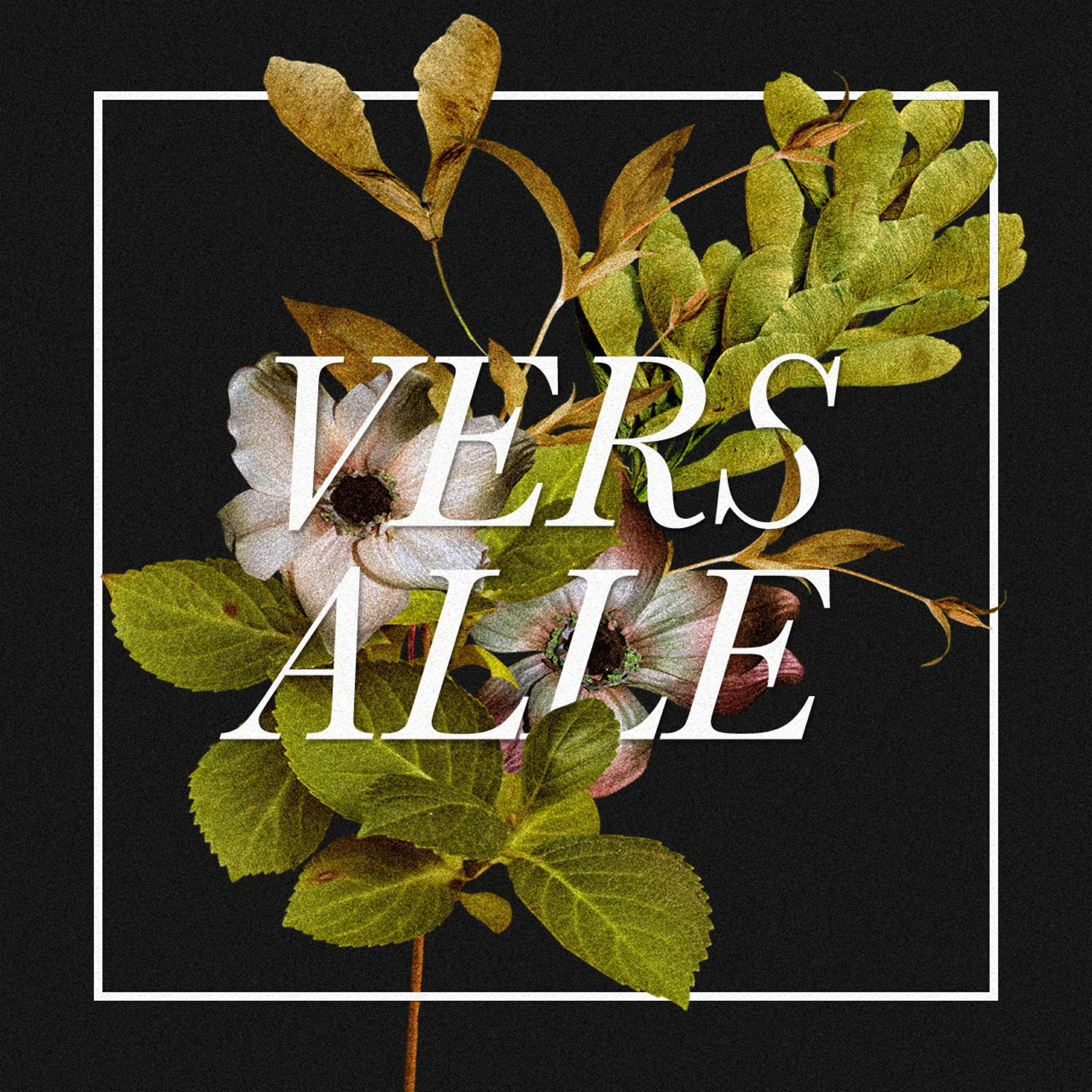 Релиз Apenas - EP
