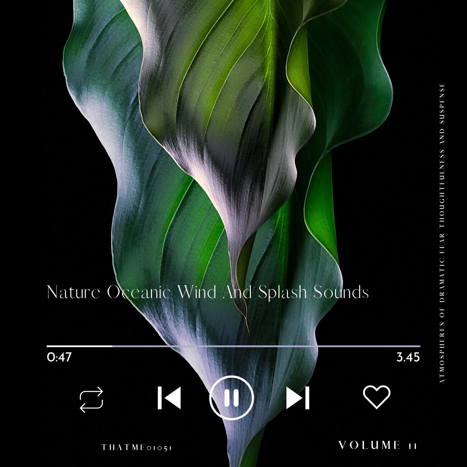 Релиз Nature Oceanic Wind And Splash Sounds - Atmospheres of Dramatic Fear Thoughtfulness and Suspense, Vol. 11