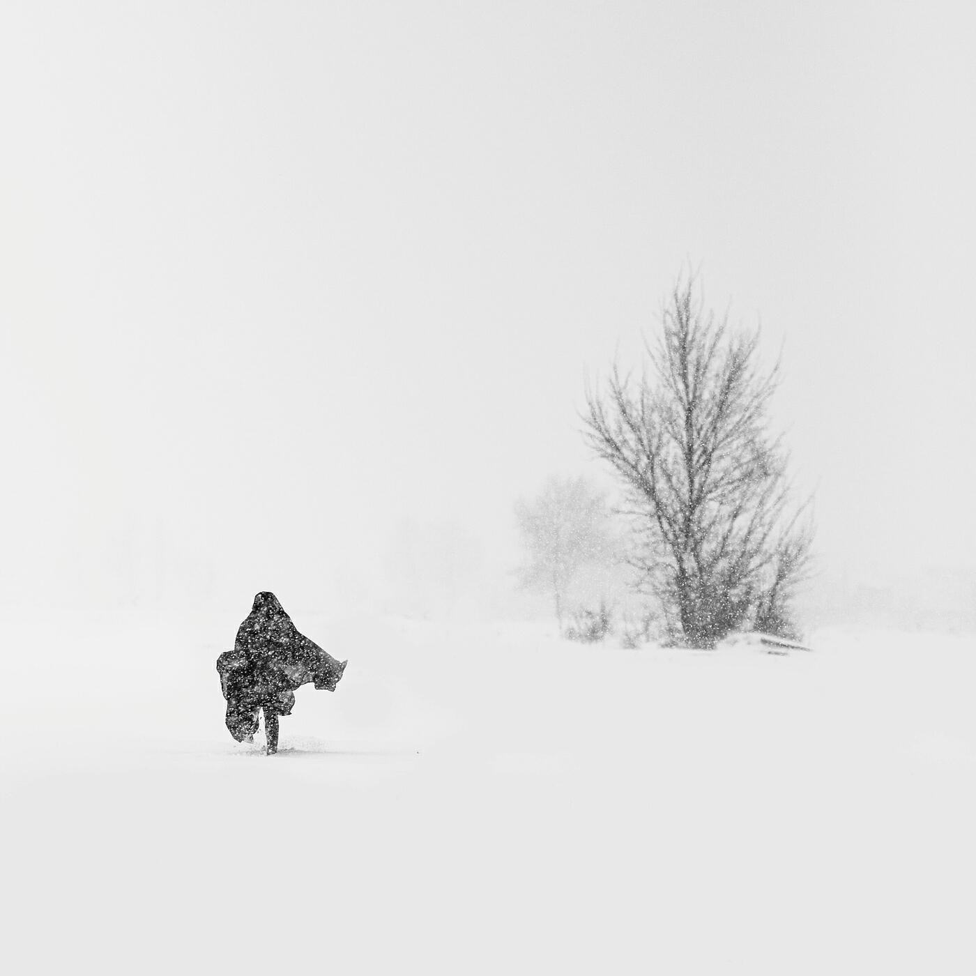 Релиз Part of the Journey