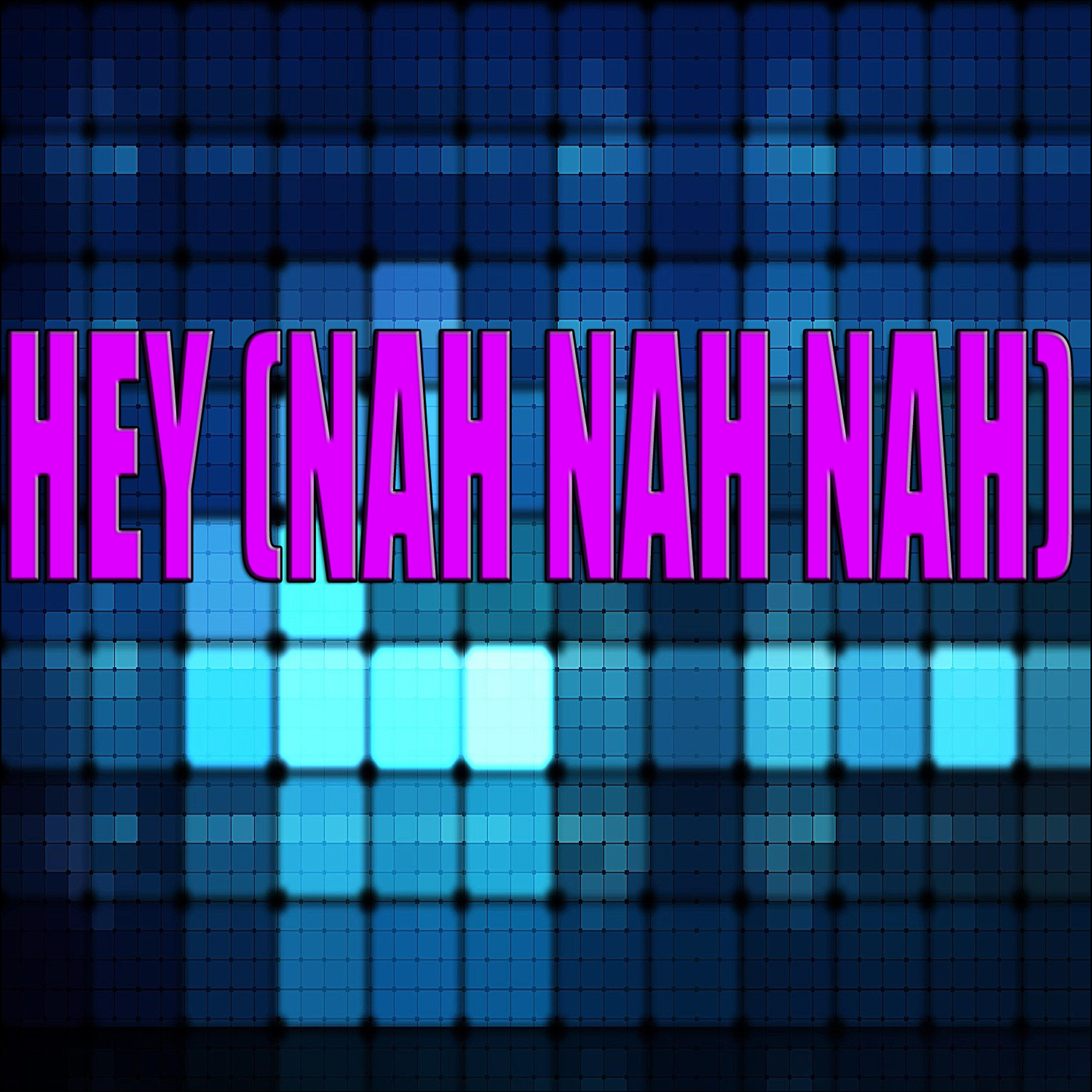 Релиз Hey (nah nah nah) (A tribute to Milk Sugar vs Vaya con Dios)