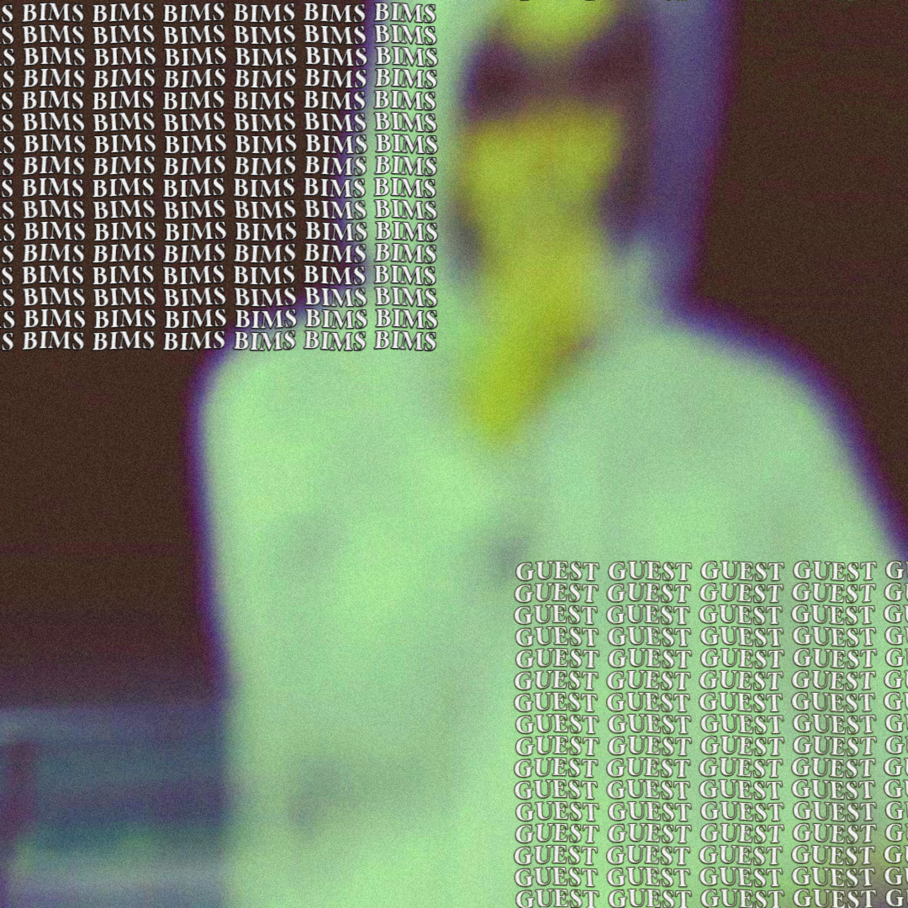Релиз Guest