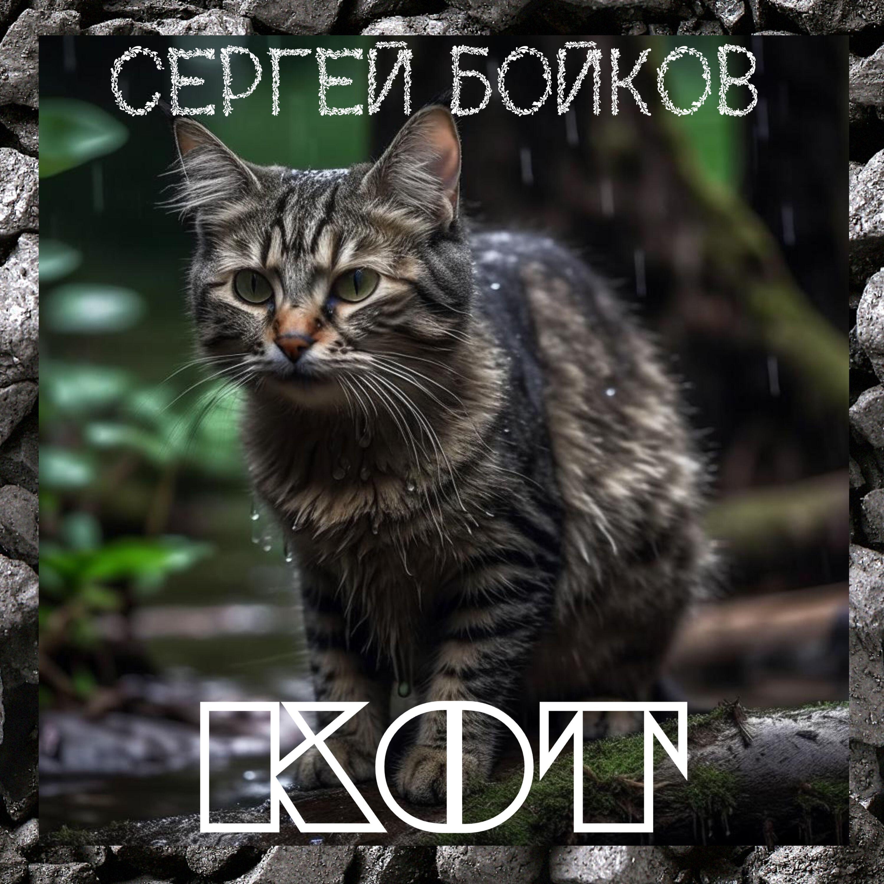 Релиз Кот
