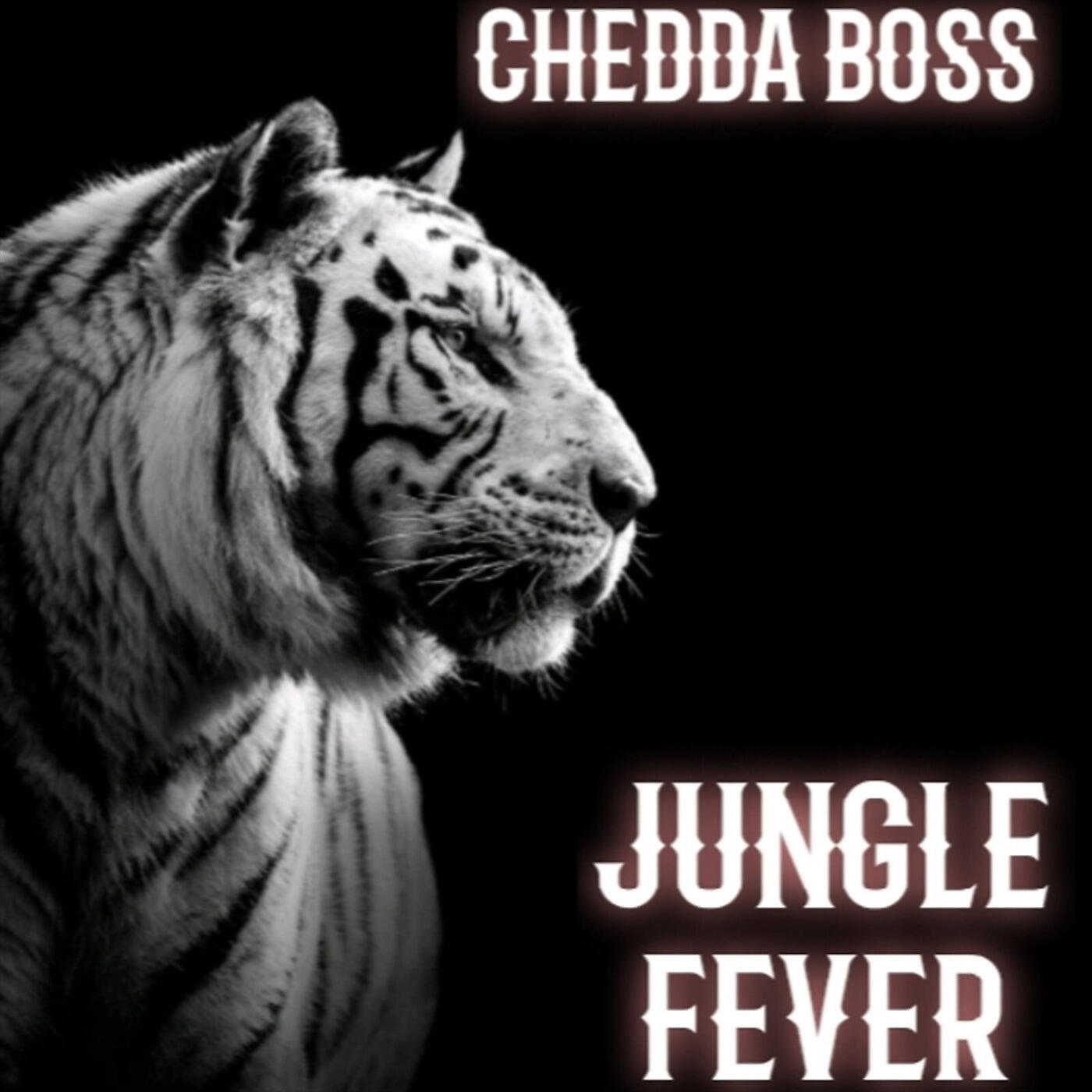 Релиз Jungle Fever
