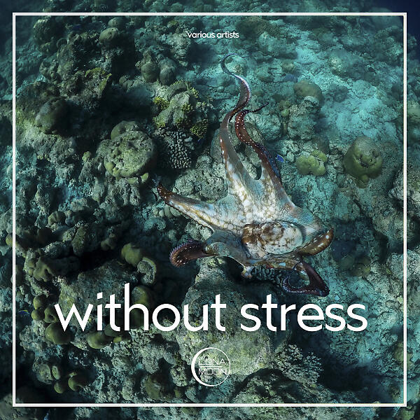 Релиз Without Stress