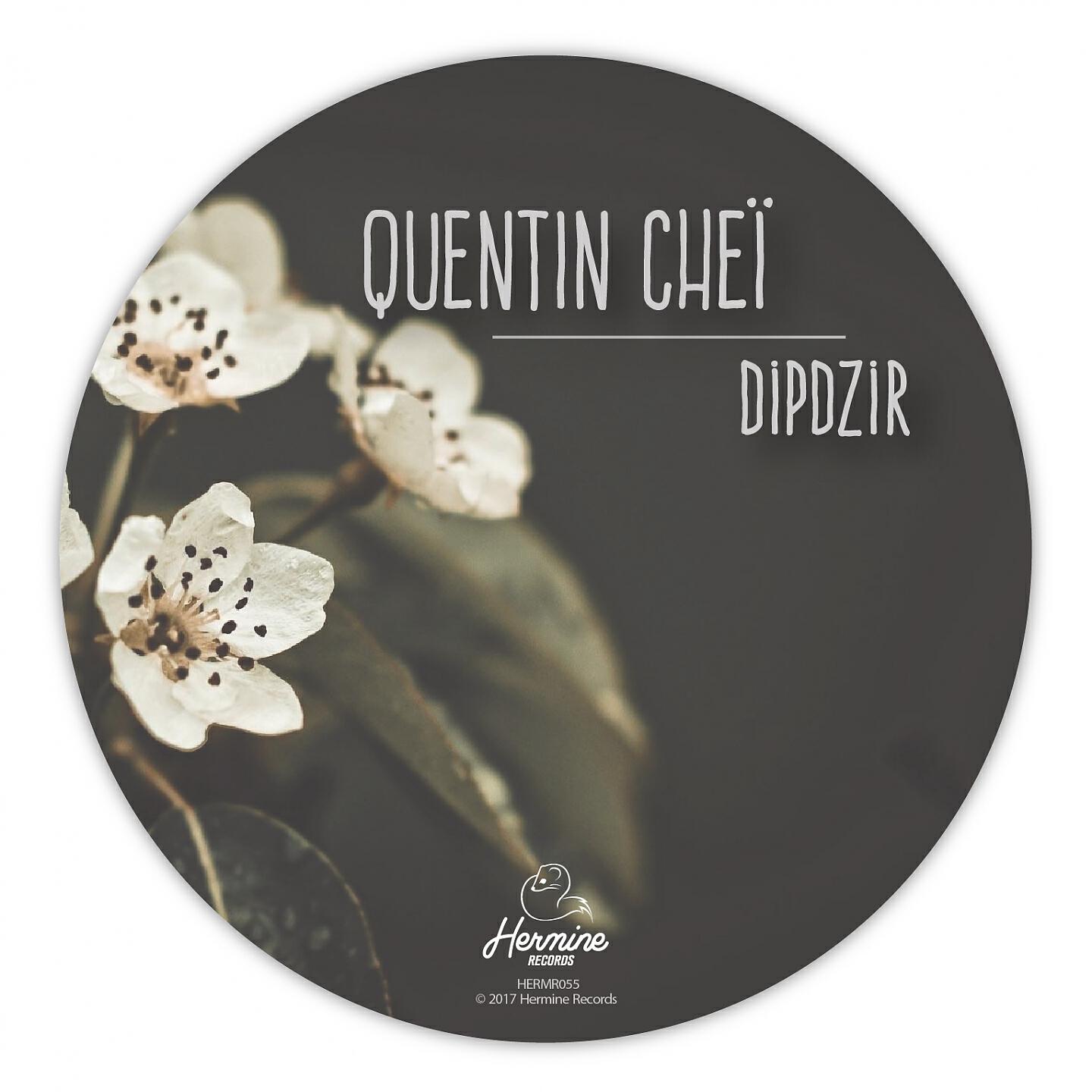 Релиз Dipdzir