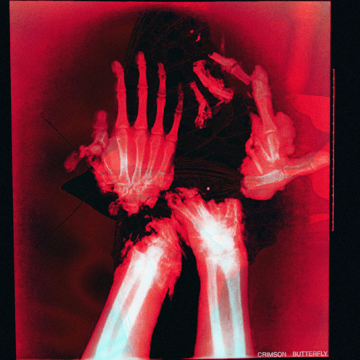 Релиз Crimson Butterfly