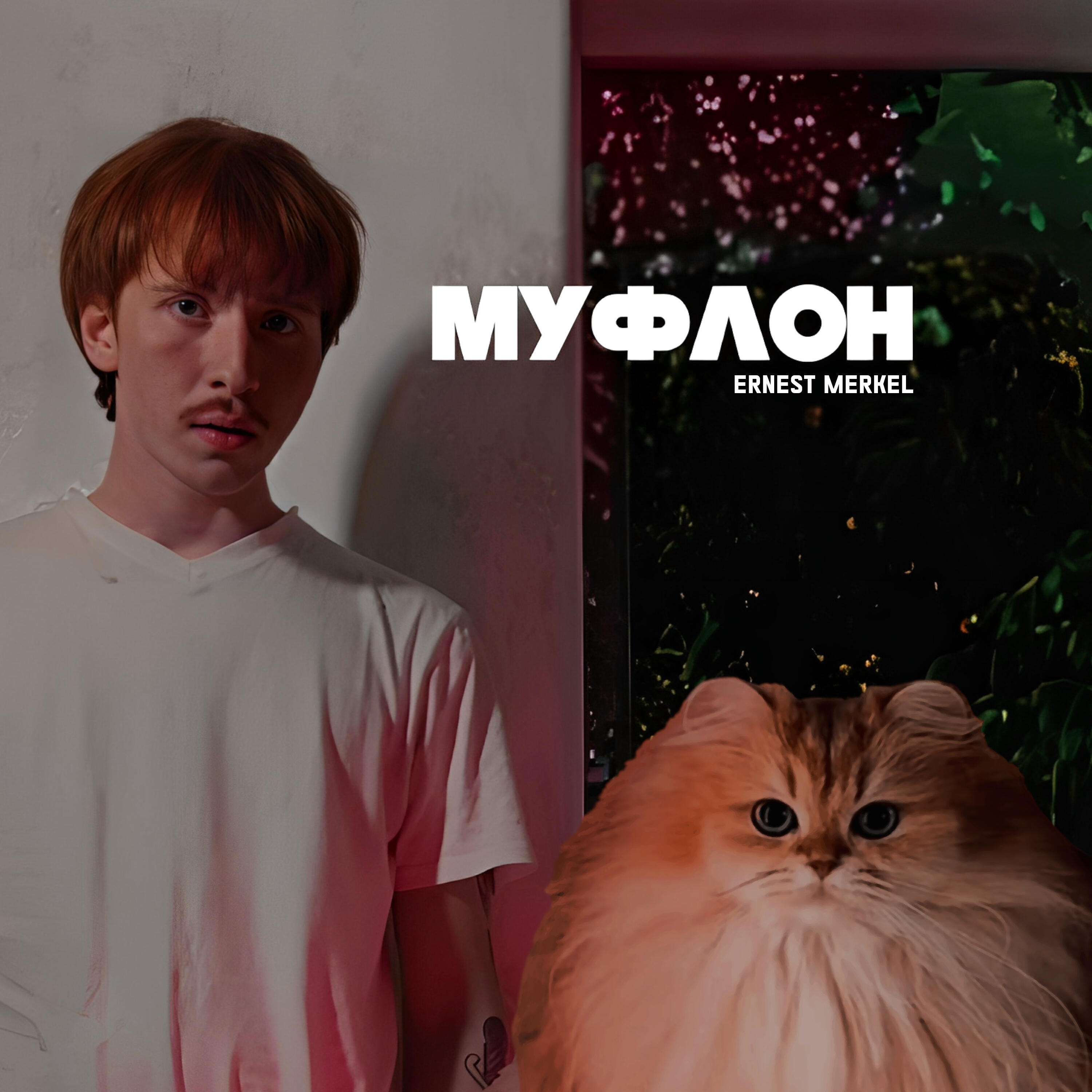 Релиз Муфлон