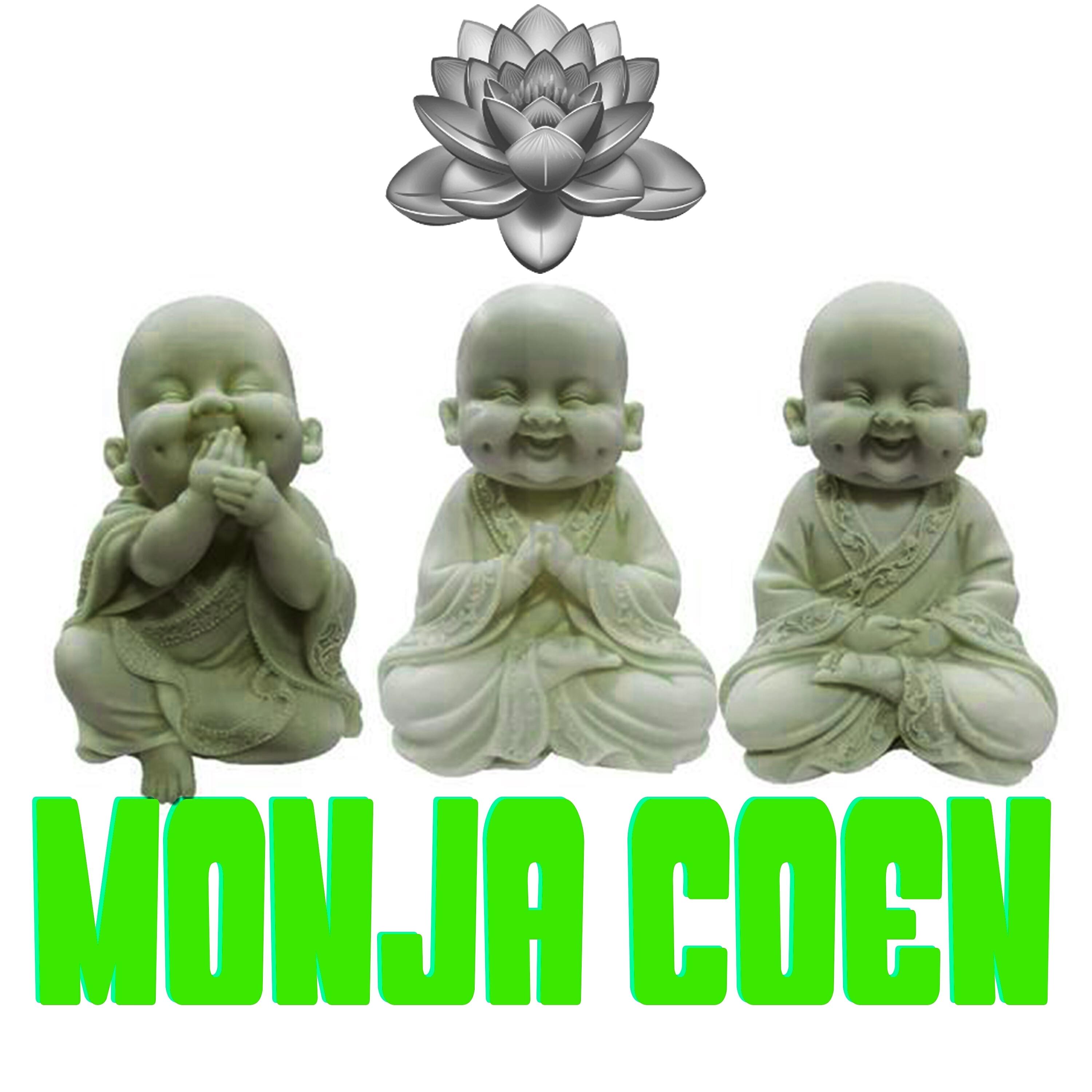 Релиз Monja Coen