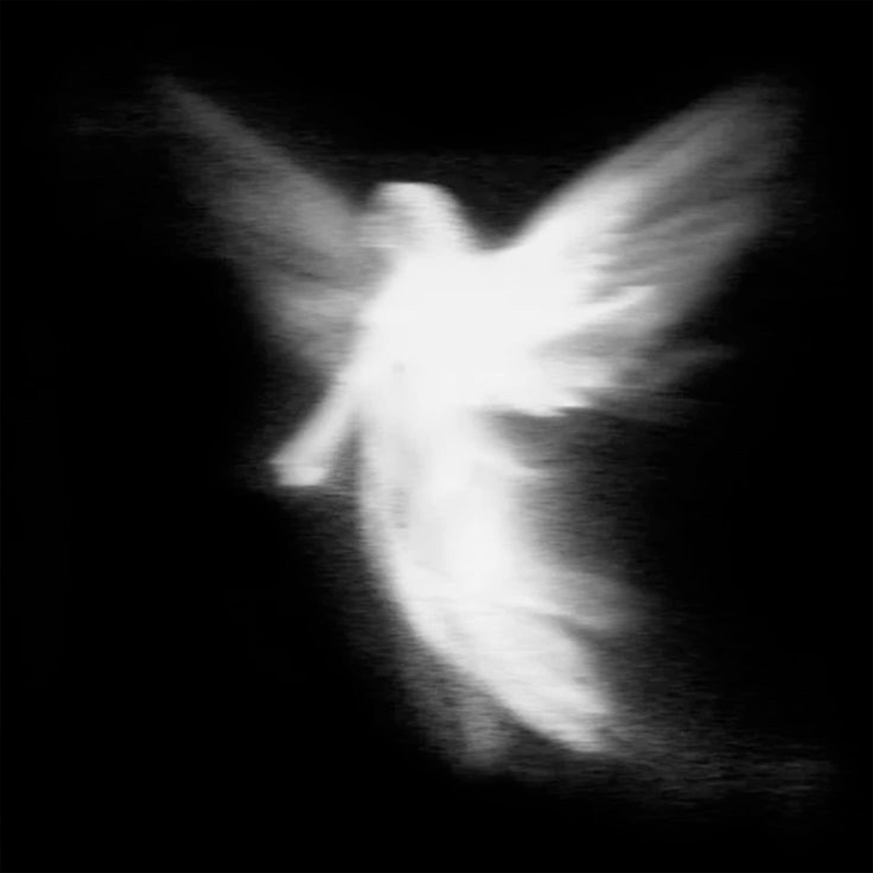 Релиз Midnight