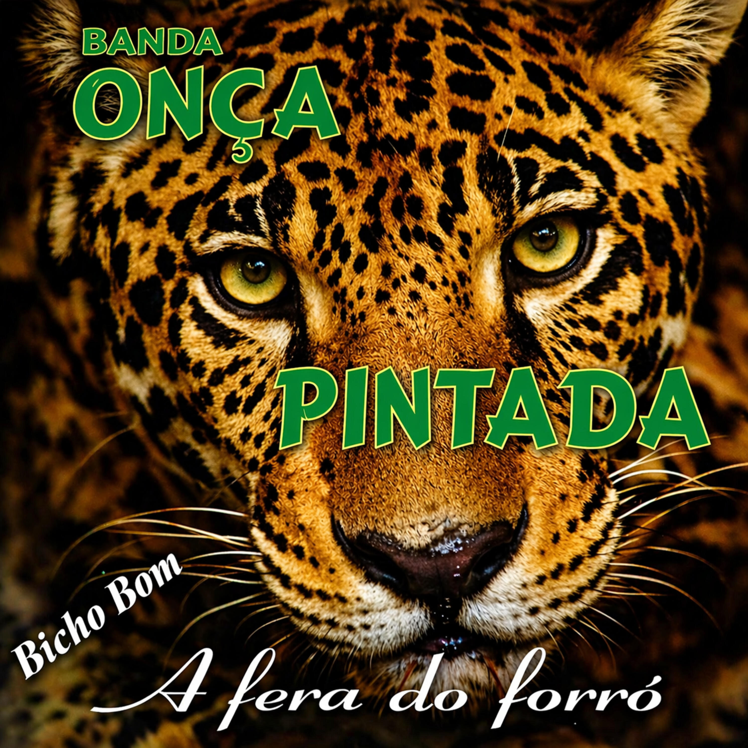 Banda Onça Pintada