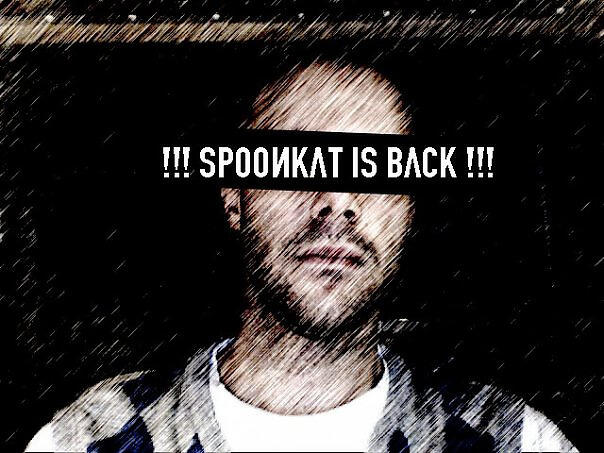 Spoonkat