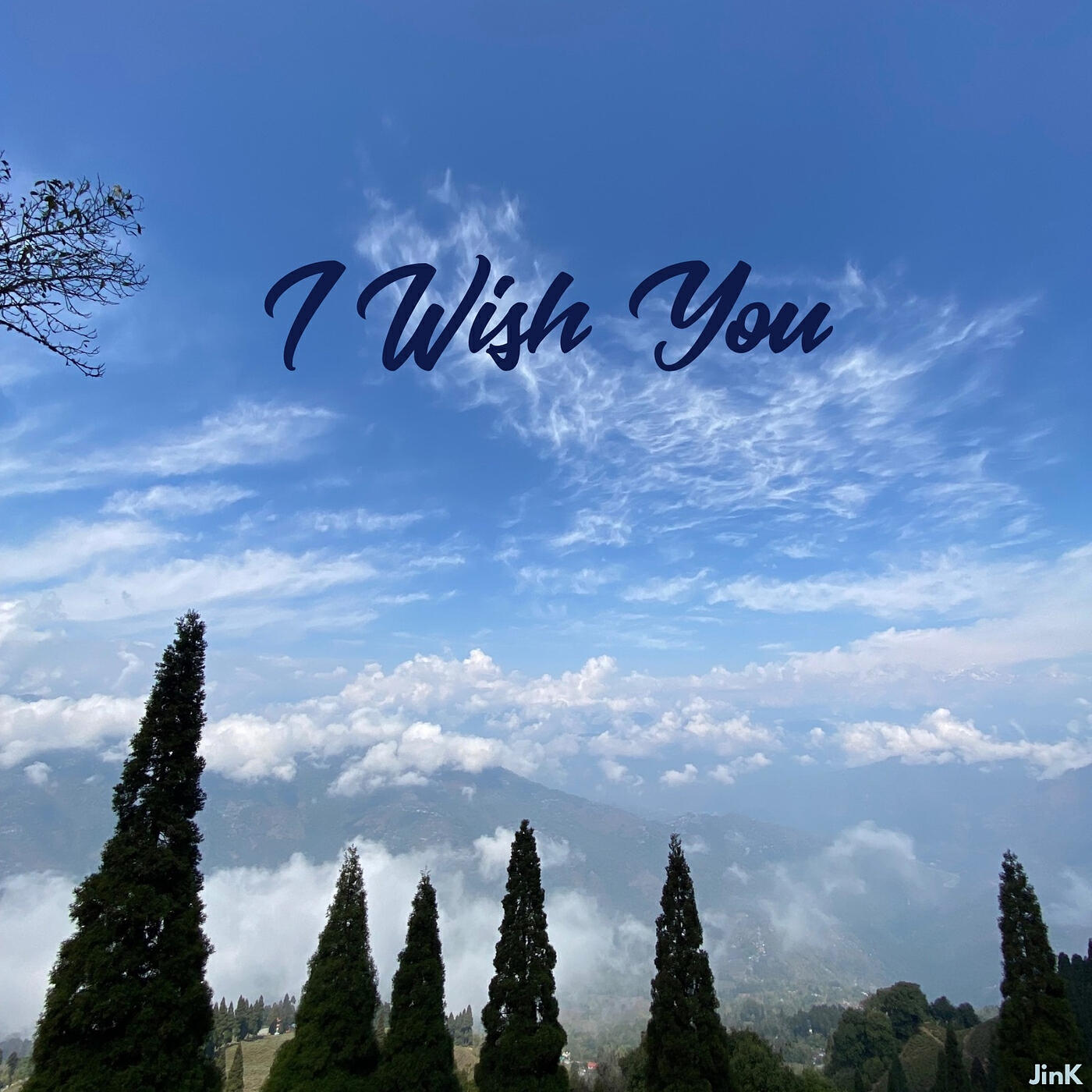 Релиз I Wish You (Acoustic)