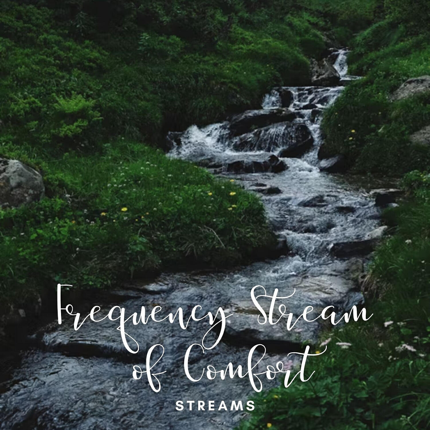 Релиз Streams: Frequency Stream of Comfort