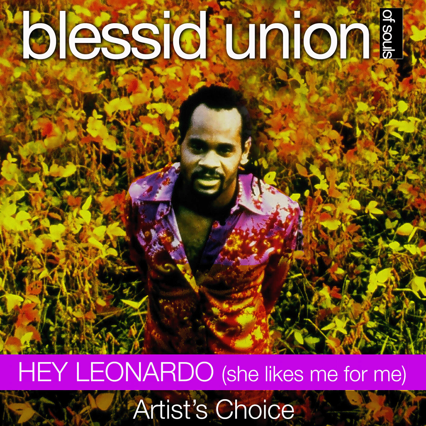 Релиз Hey Leonardo (She Likes Me for Me - Artist's Choice)