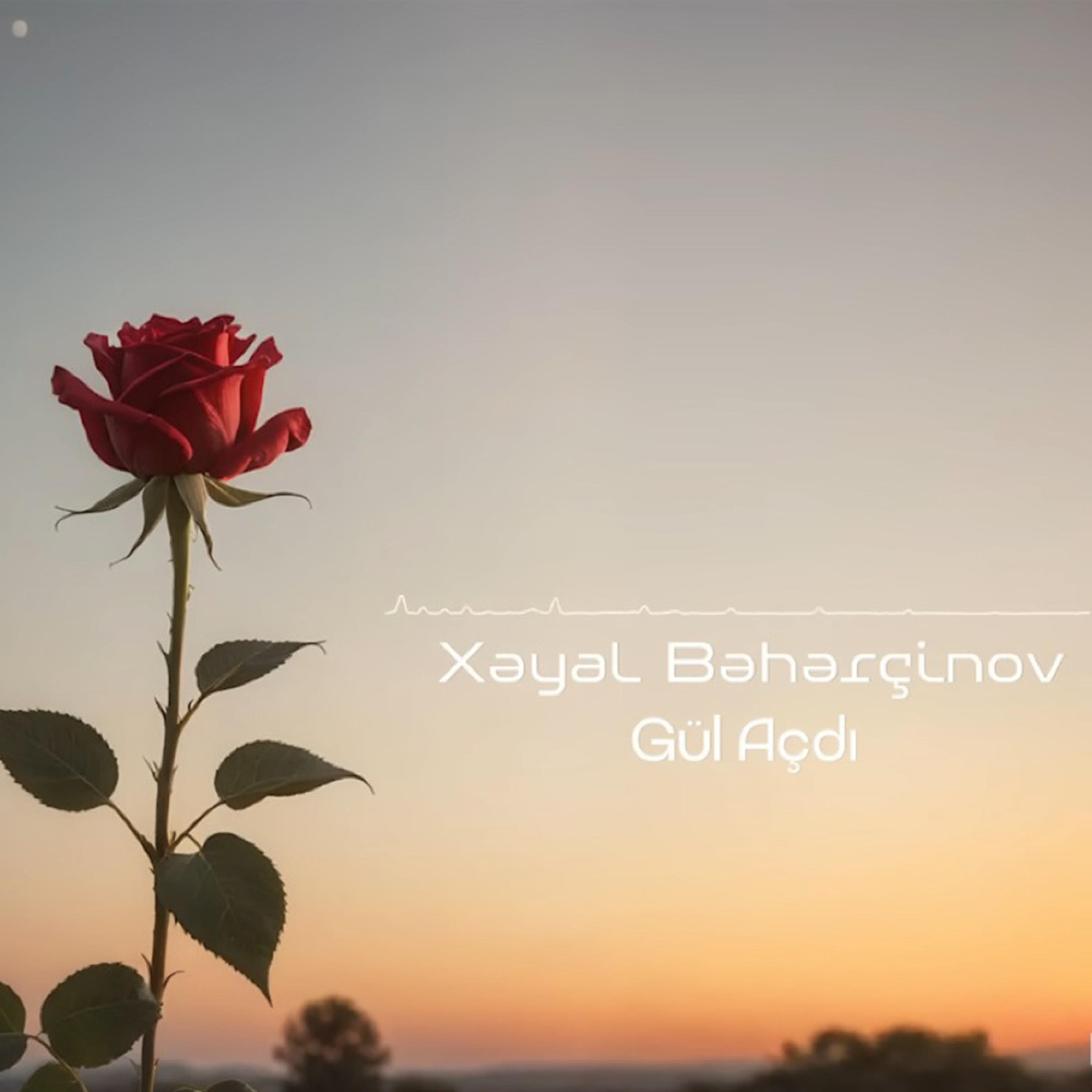 Релиз Gül Açdı