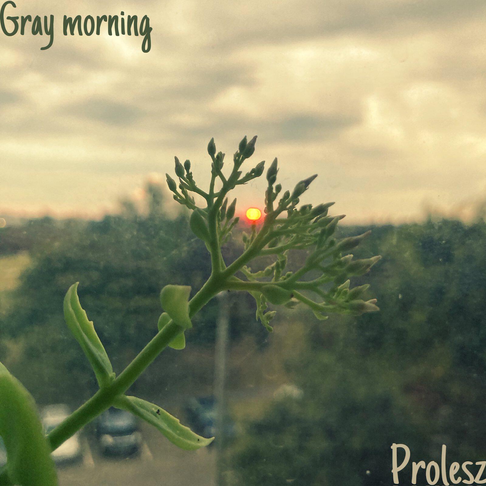 Релиз Gray morning
