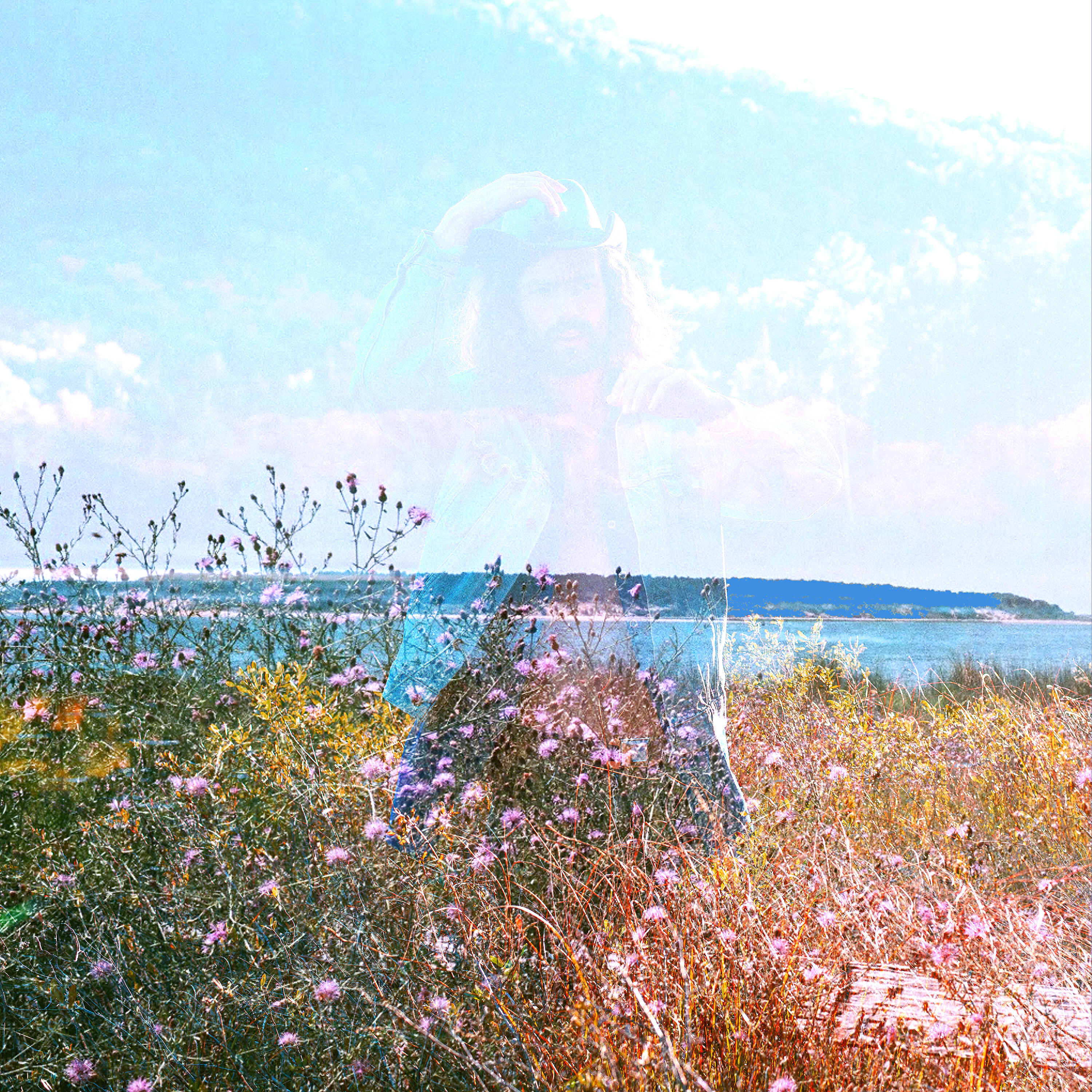 Релиз Violets In The Haze