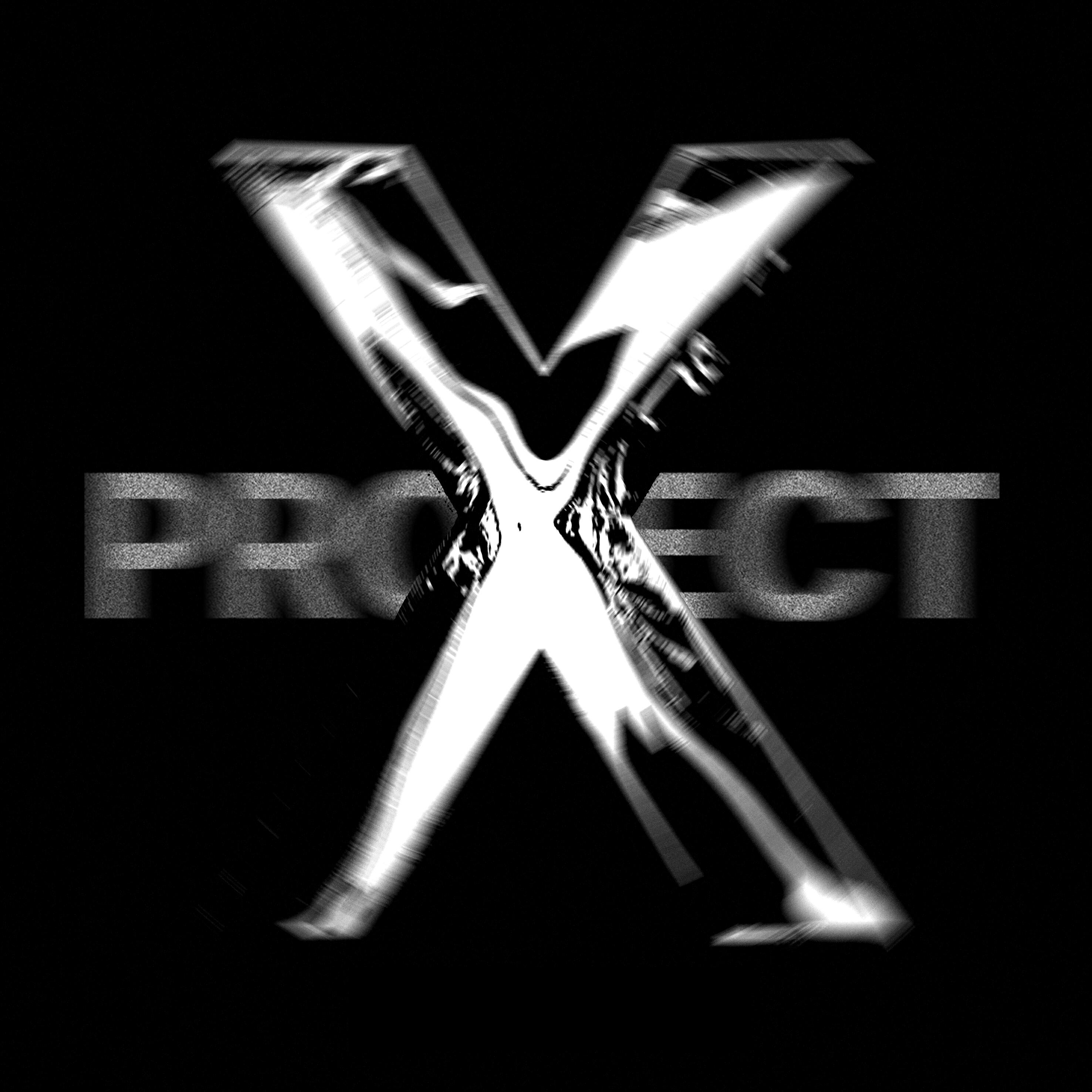 Релиз project X