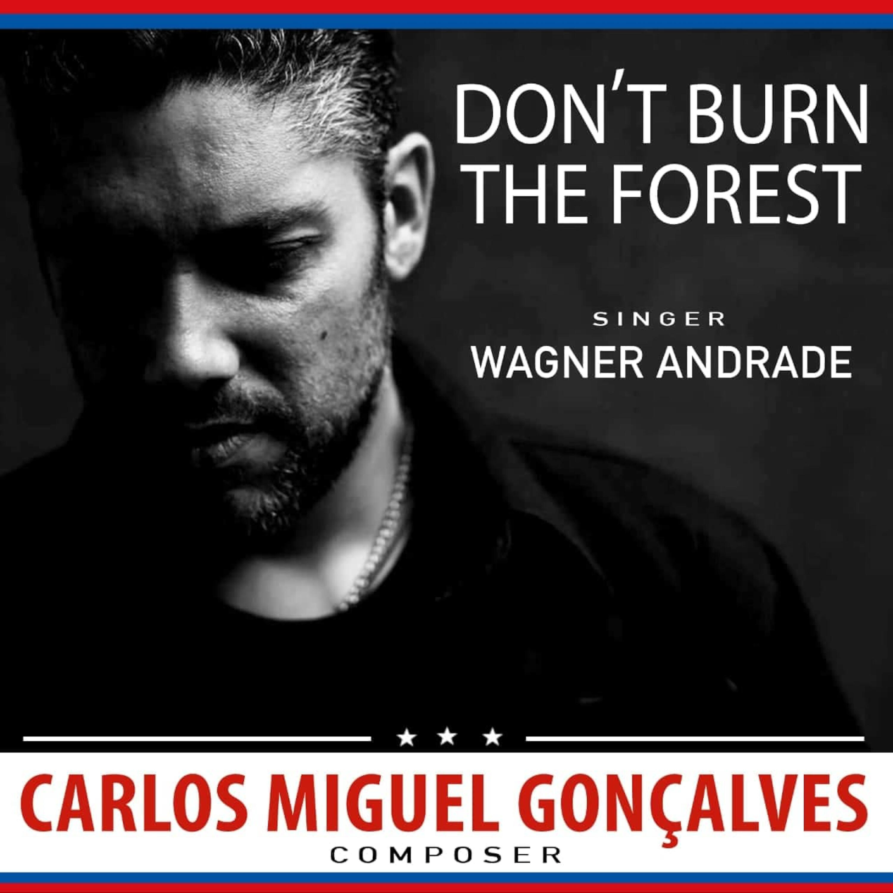 Релиз Don't Burn the Forest