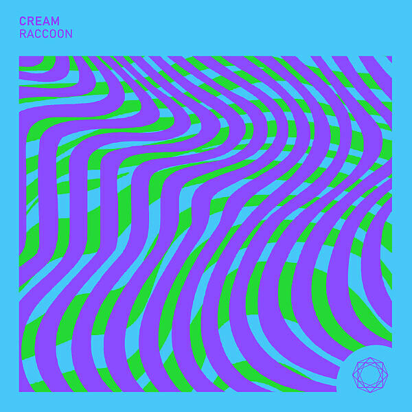 Релиз Raccoon