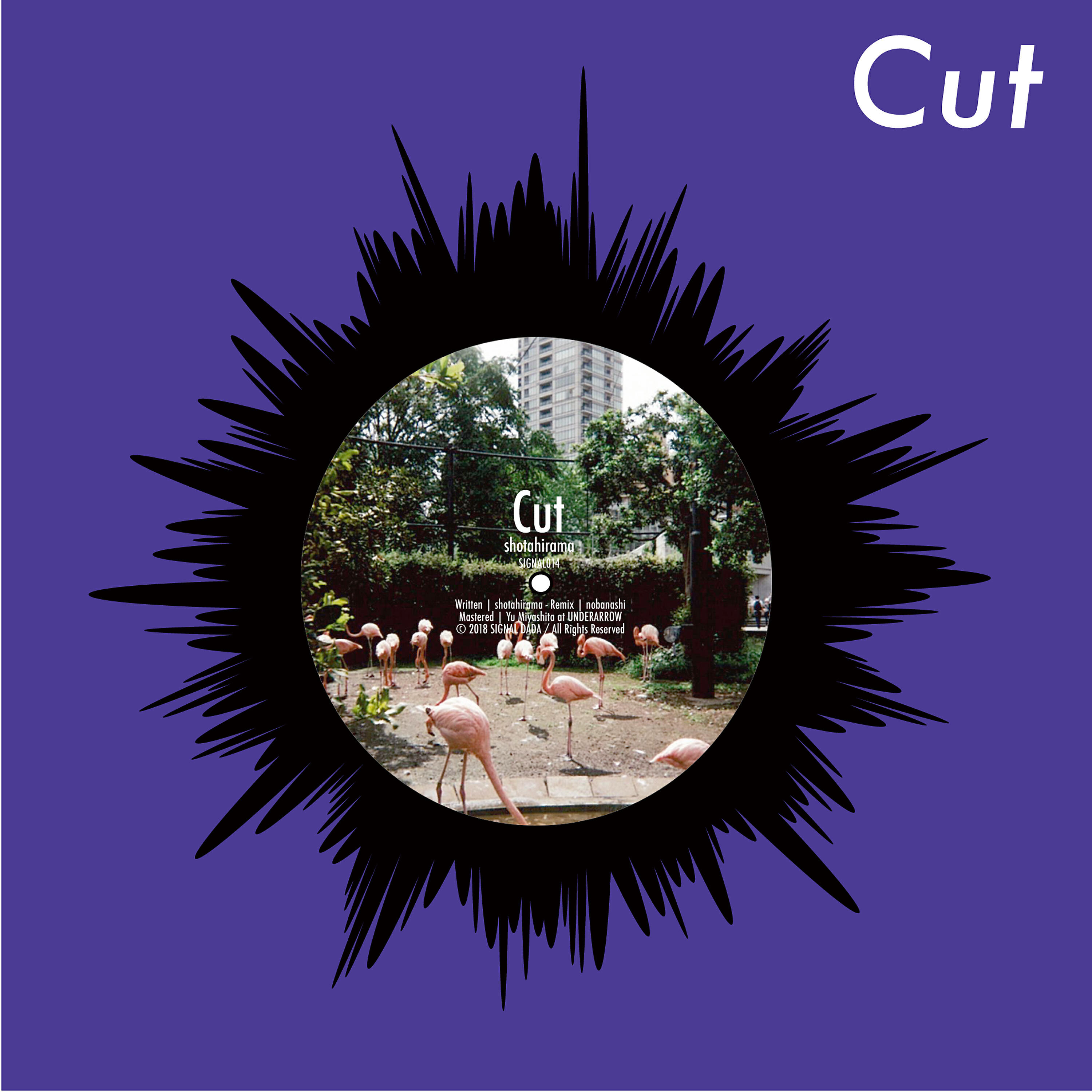 Релиз Cut