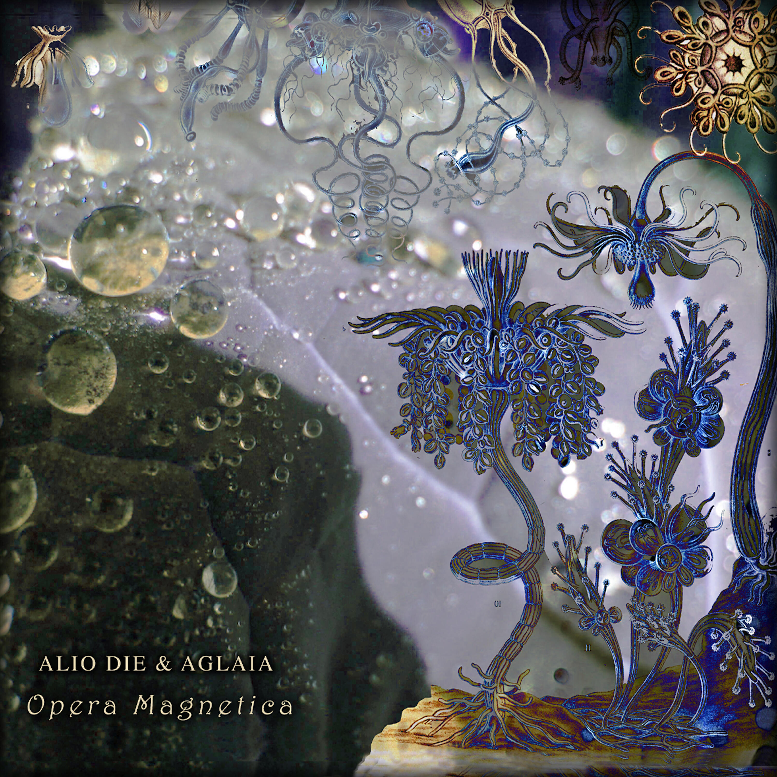 Релиз Opera Magnetica