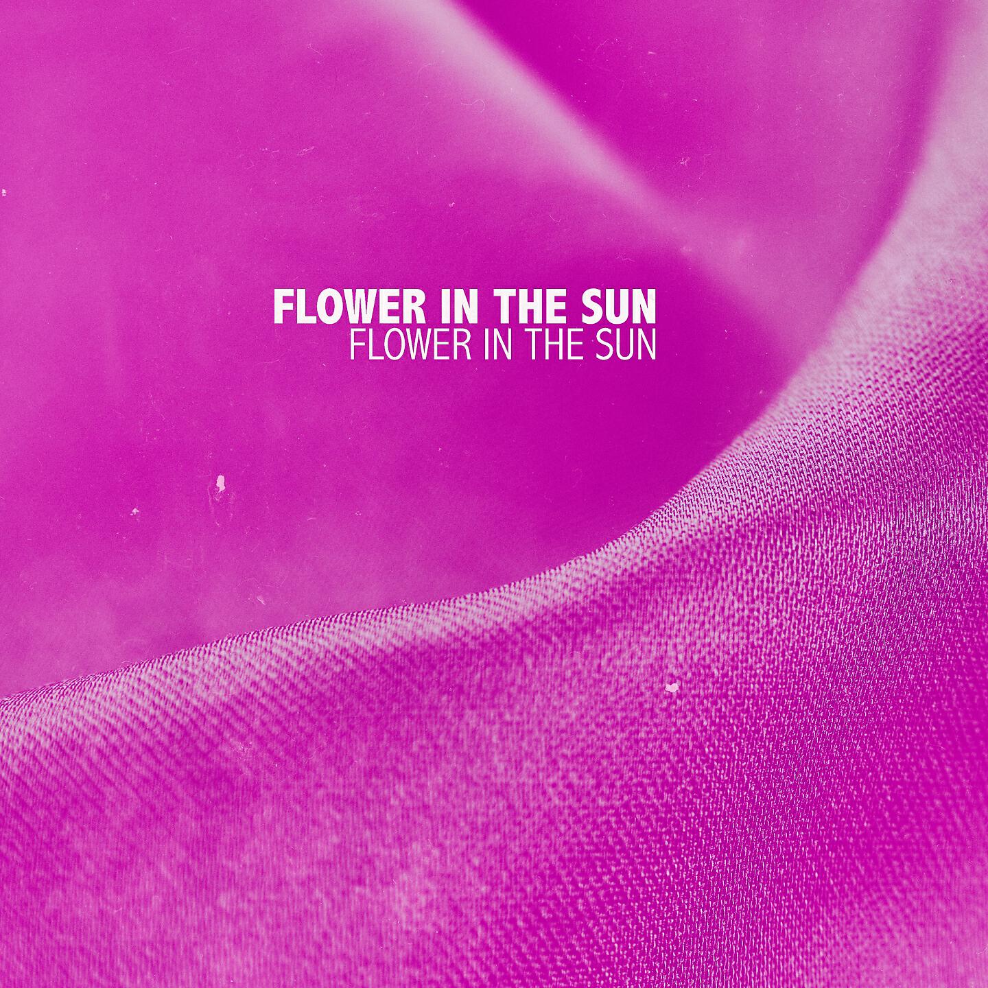 Flower in the Sun