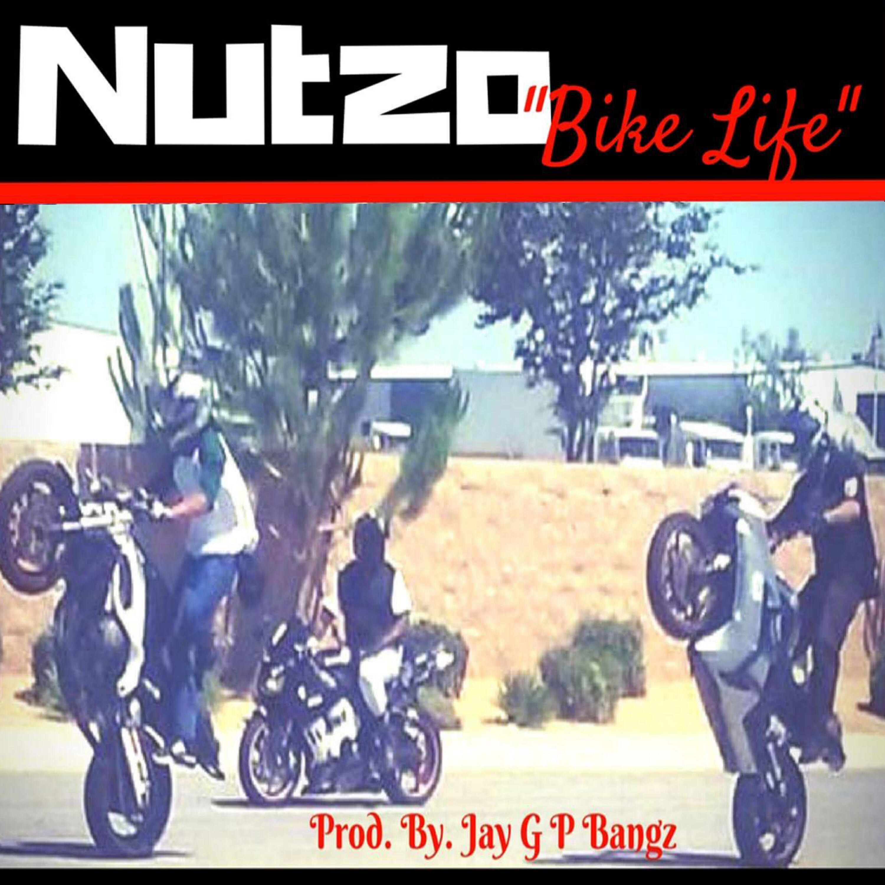 Релиз Bike Life