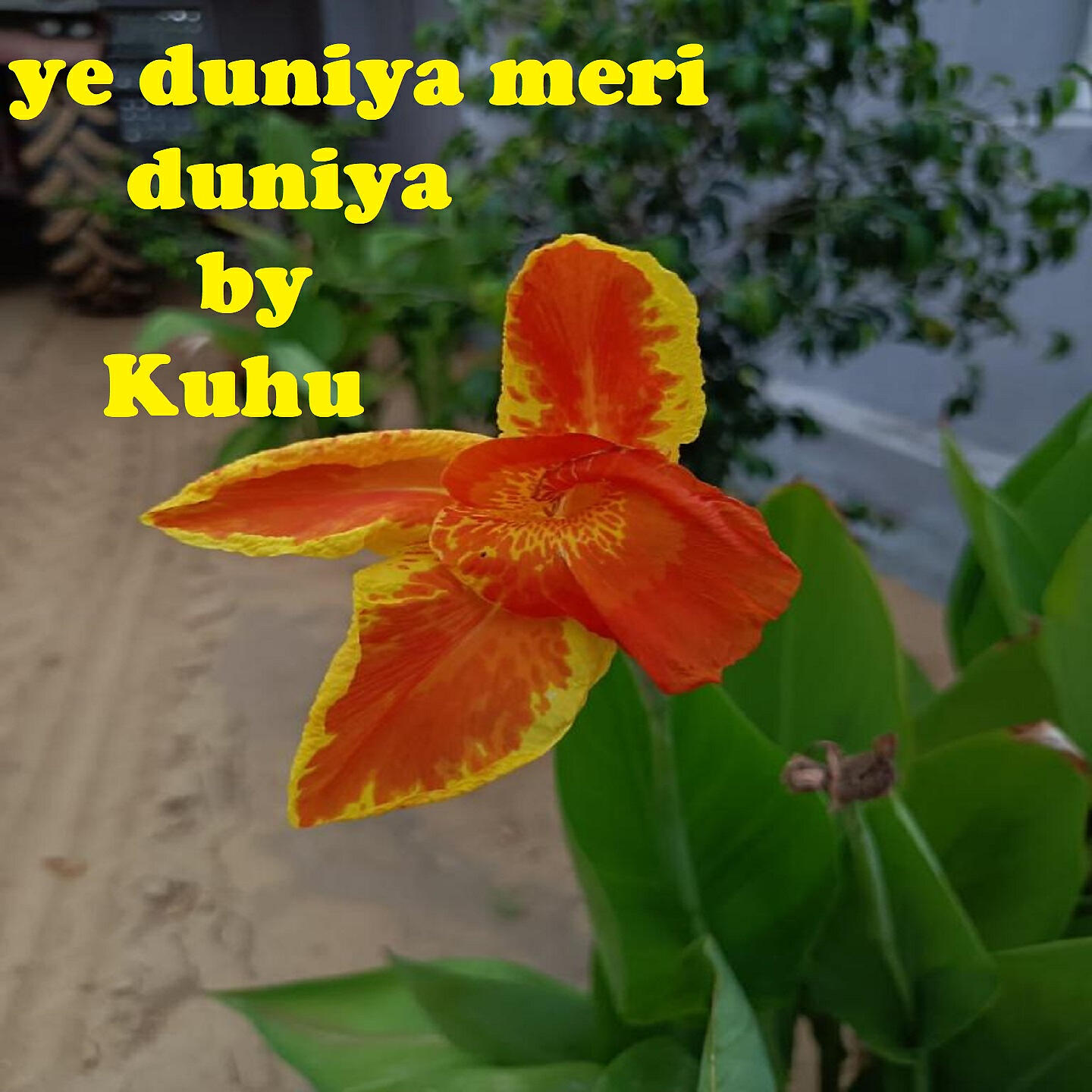 Релиз Ye duniya meri duniya