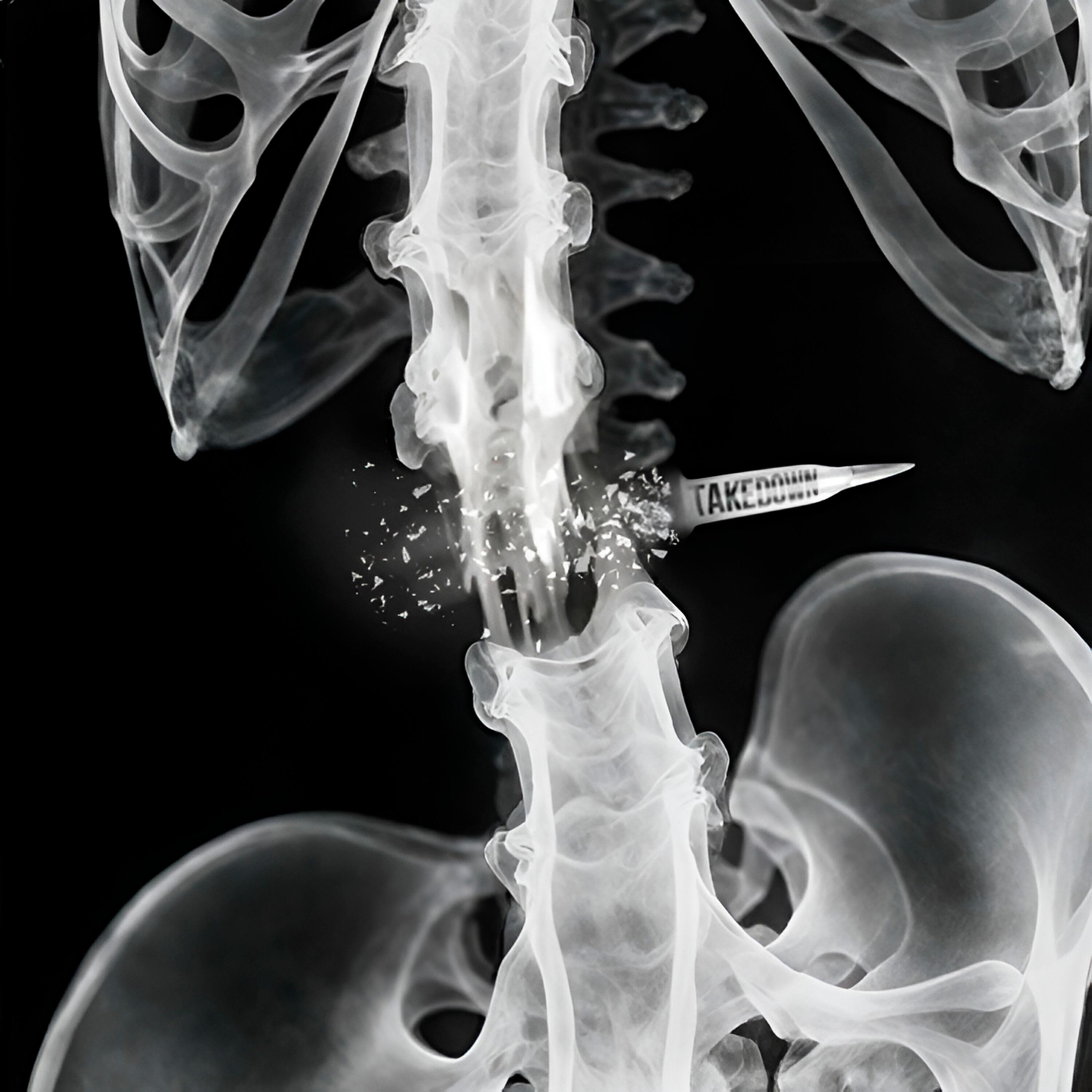 Latruha все песни в mp3