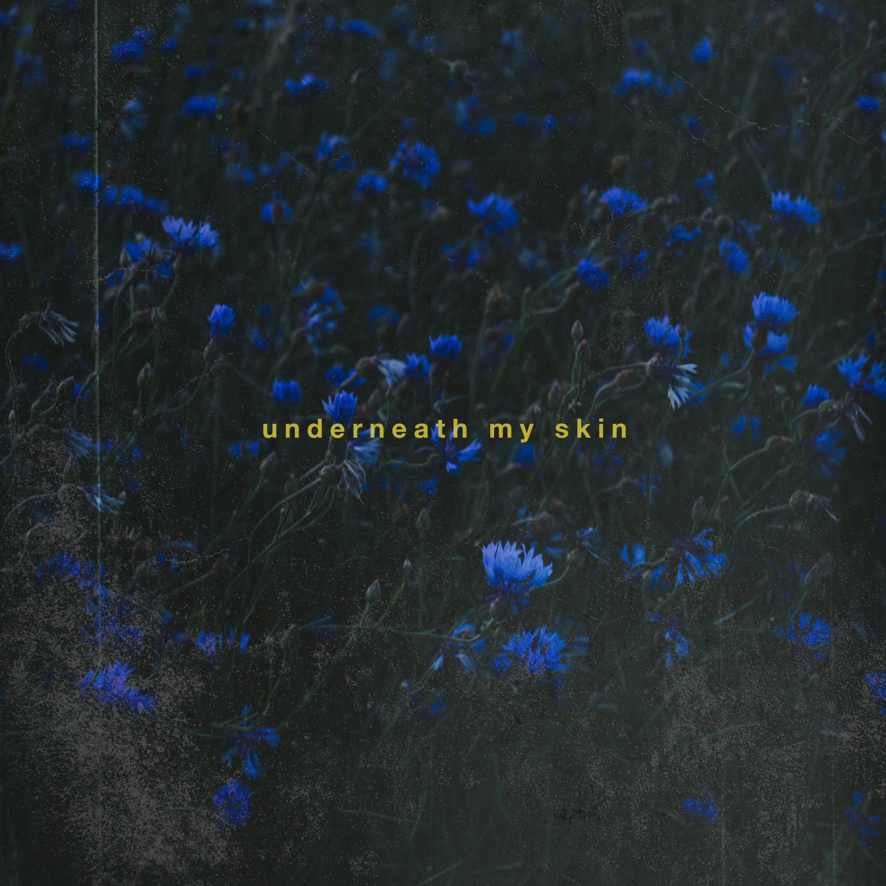 Релиз Underneath My Skin
