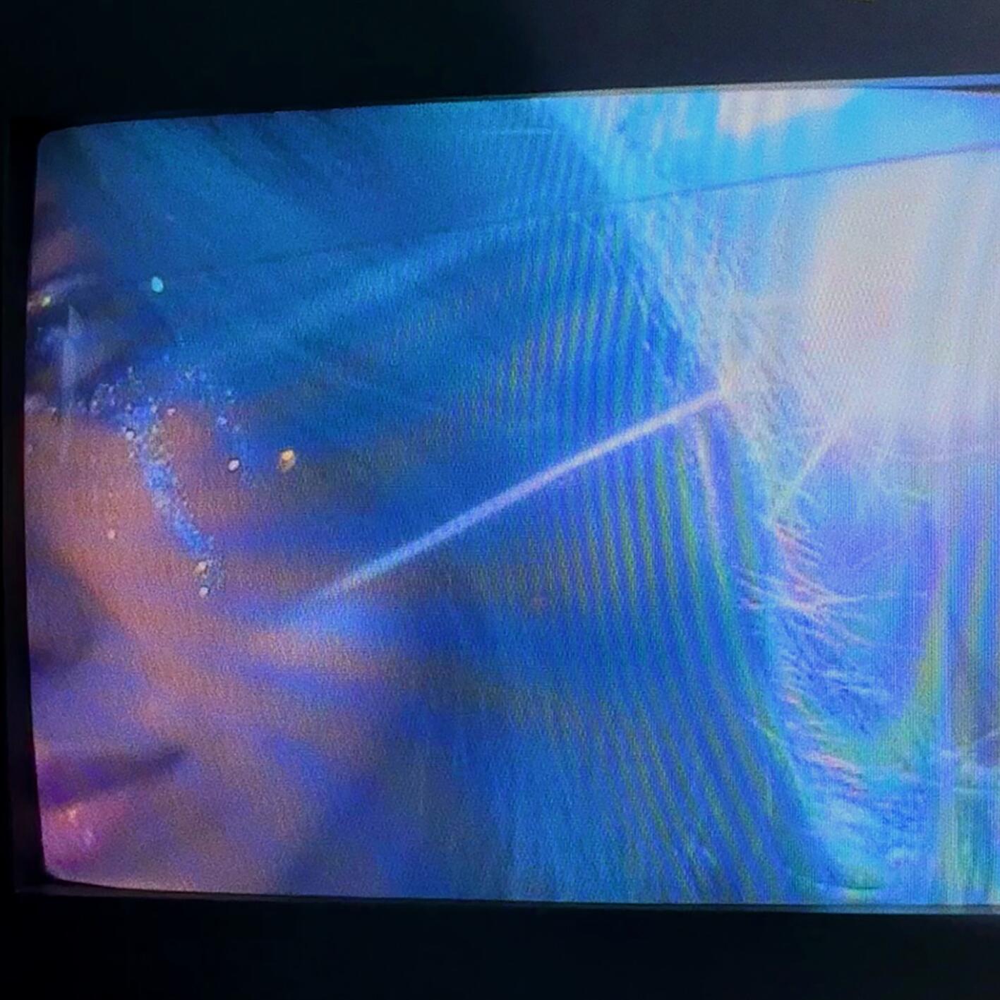 Joy Bloo