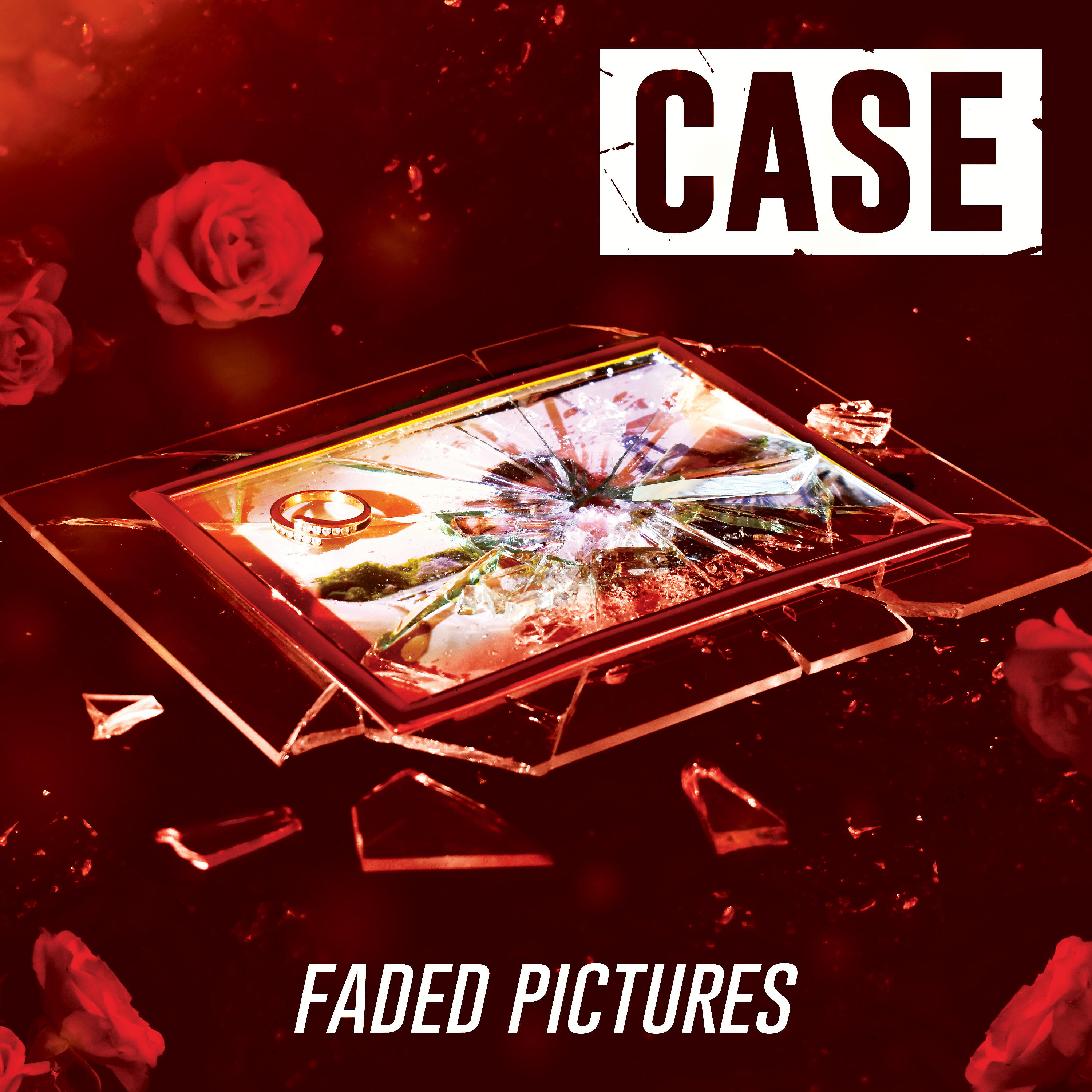 Релиз Faded Pictures