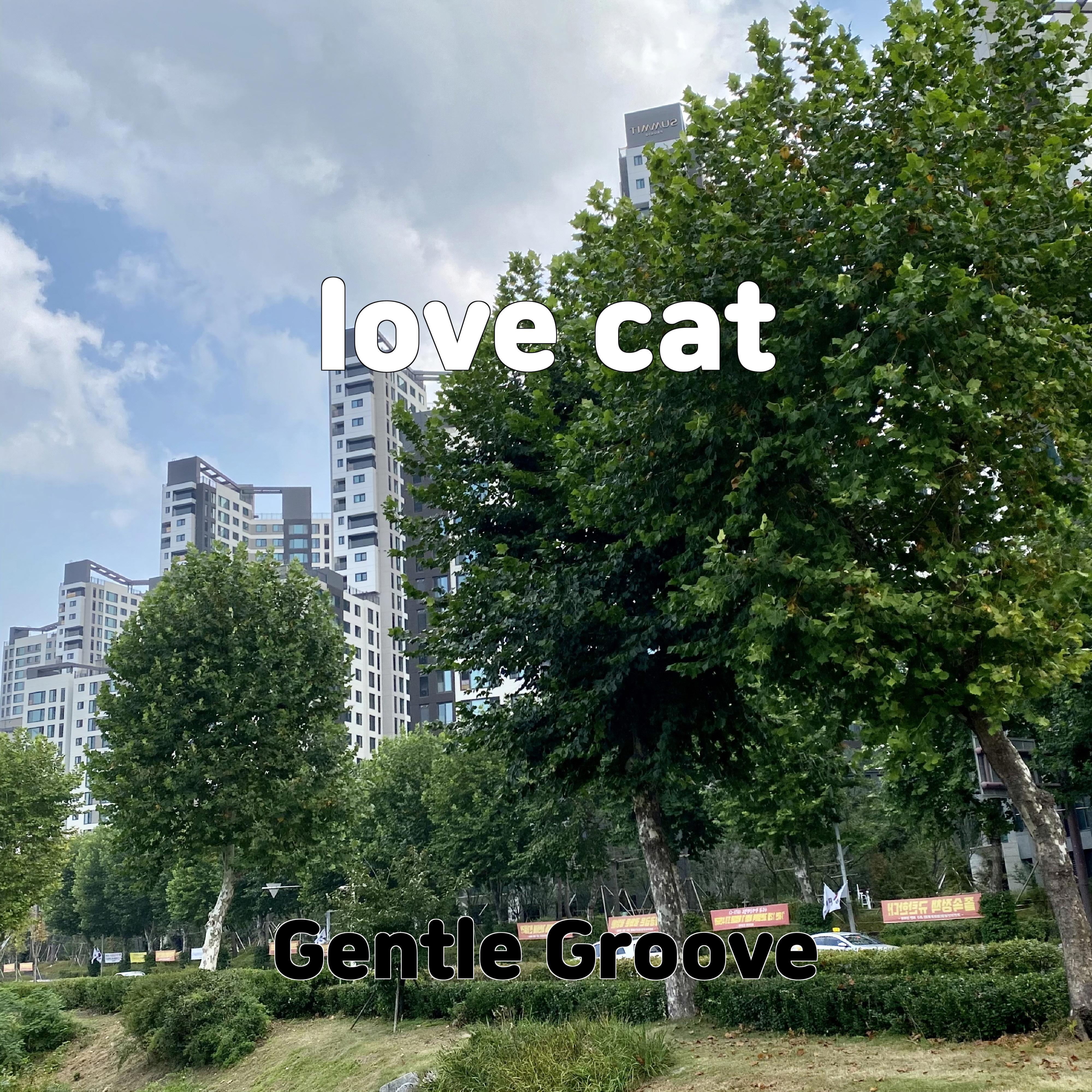 Релиз love cat