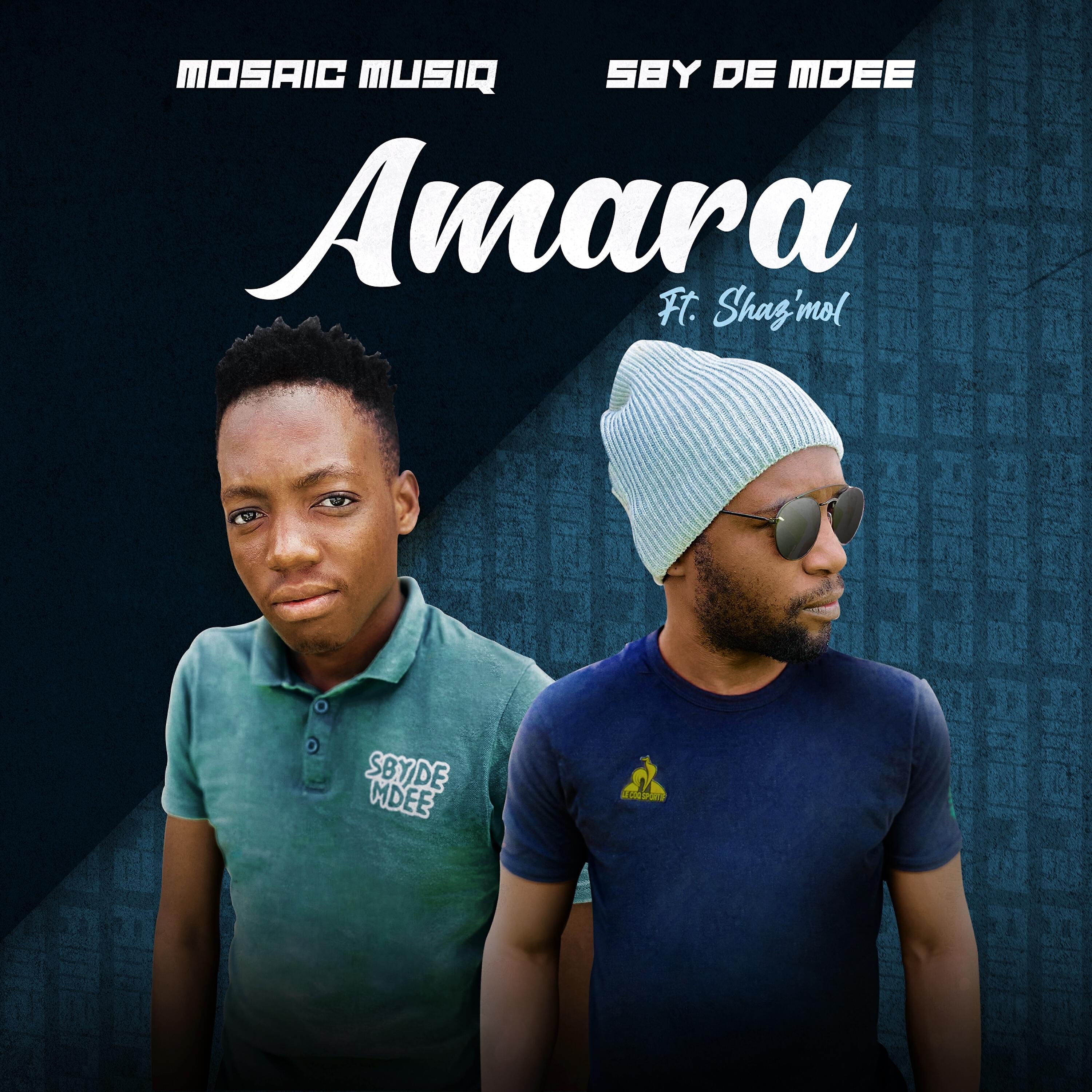 Релиз Amara