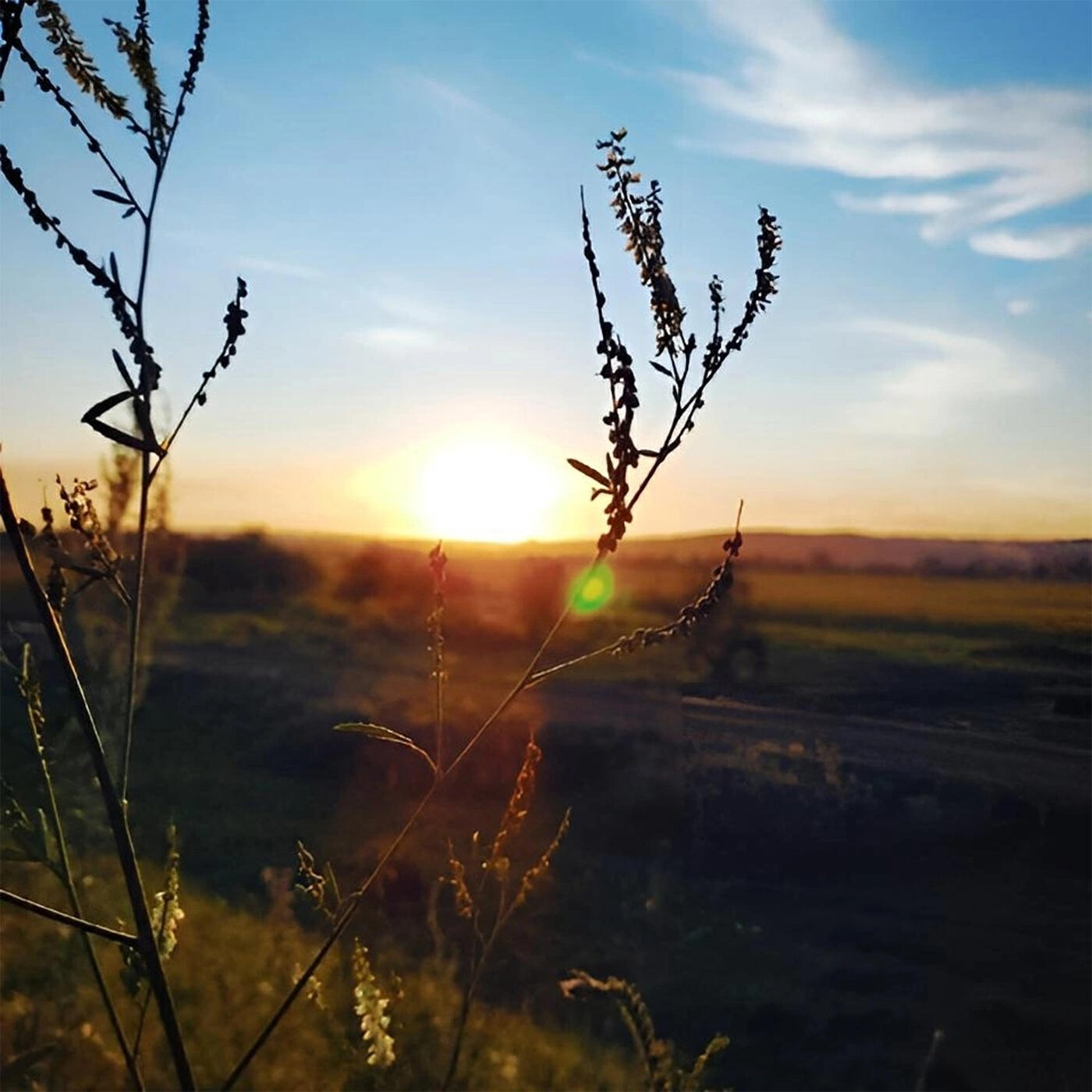 Релиз Время не вечно