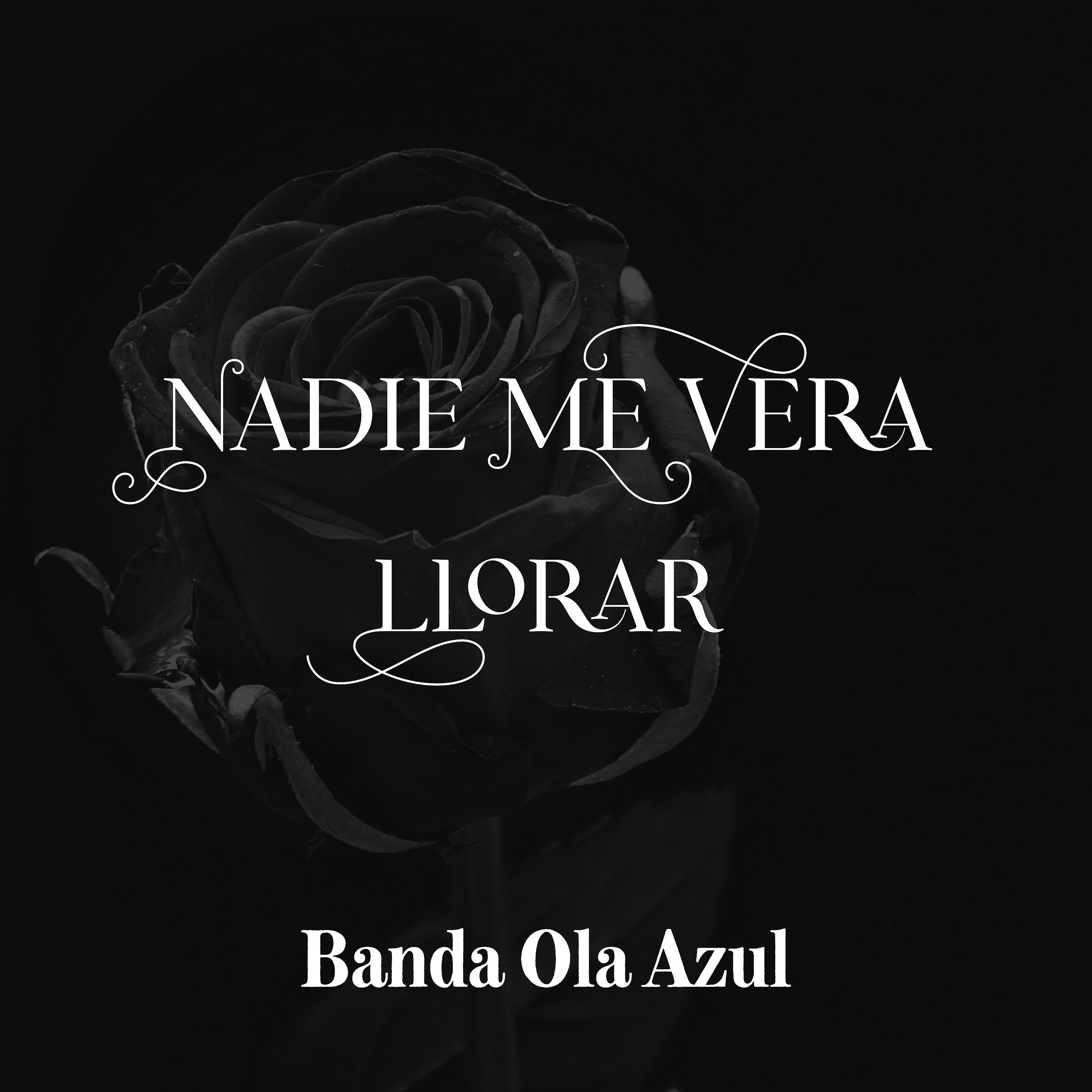 Релиз Nadie Me Vera Llorar