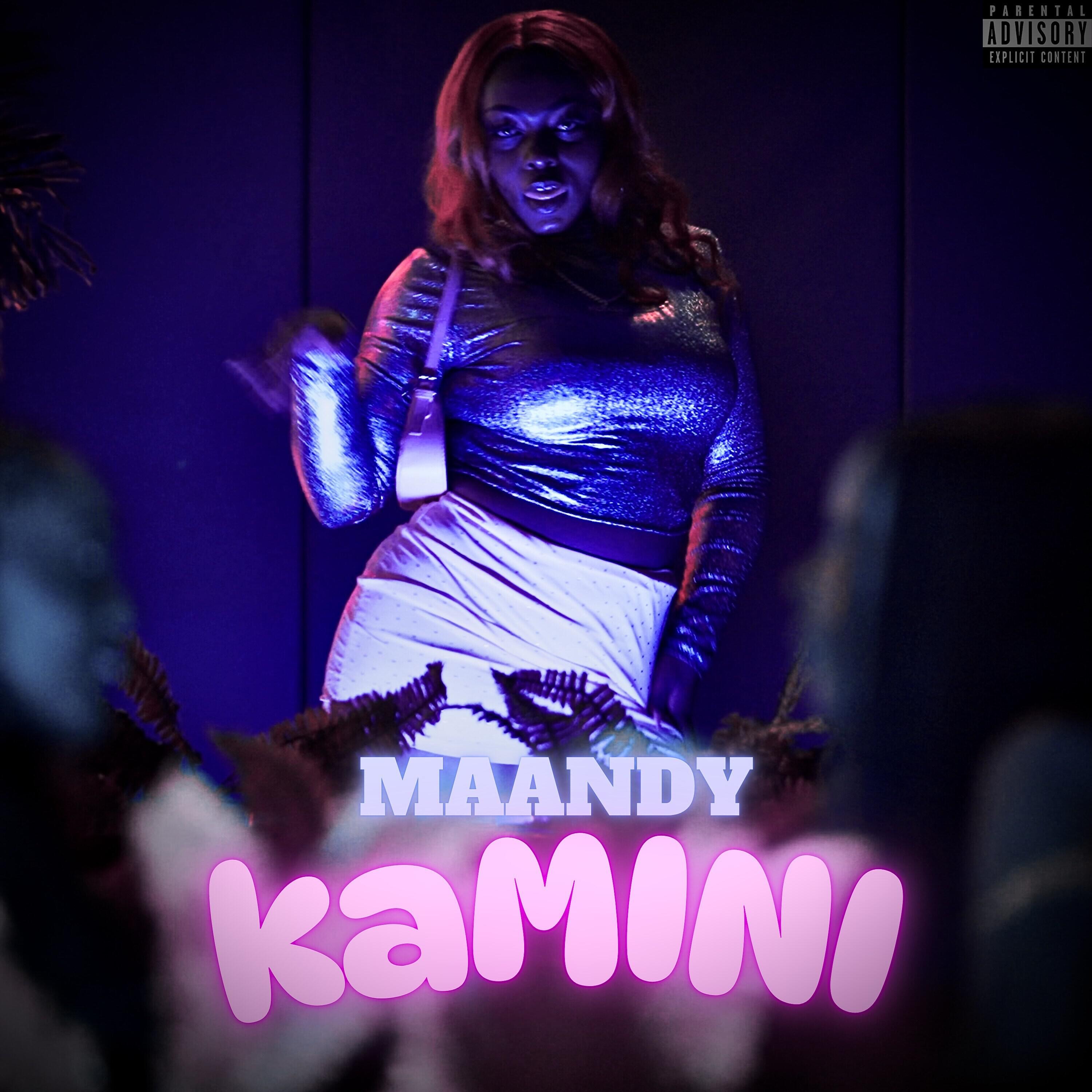 Релиз Kamini
