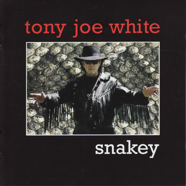Релиз Snakey