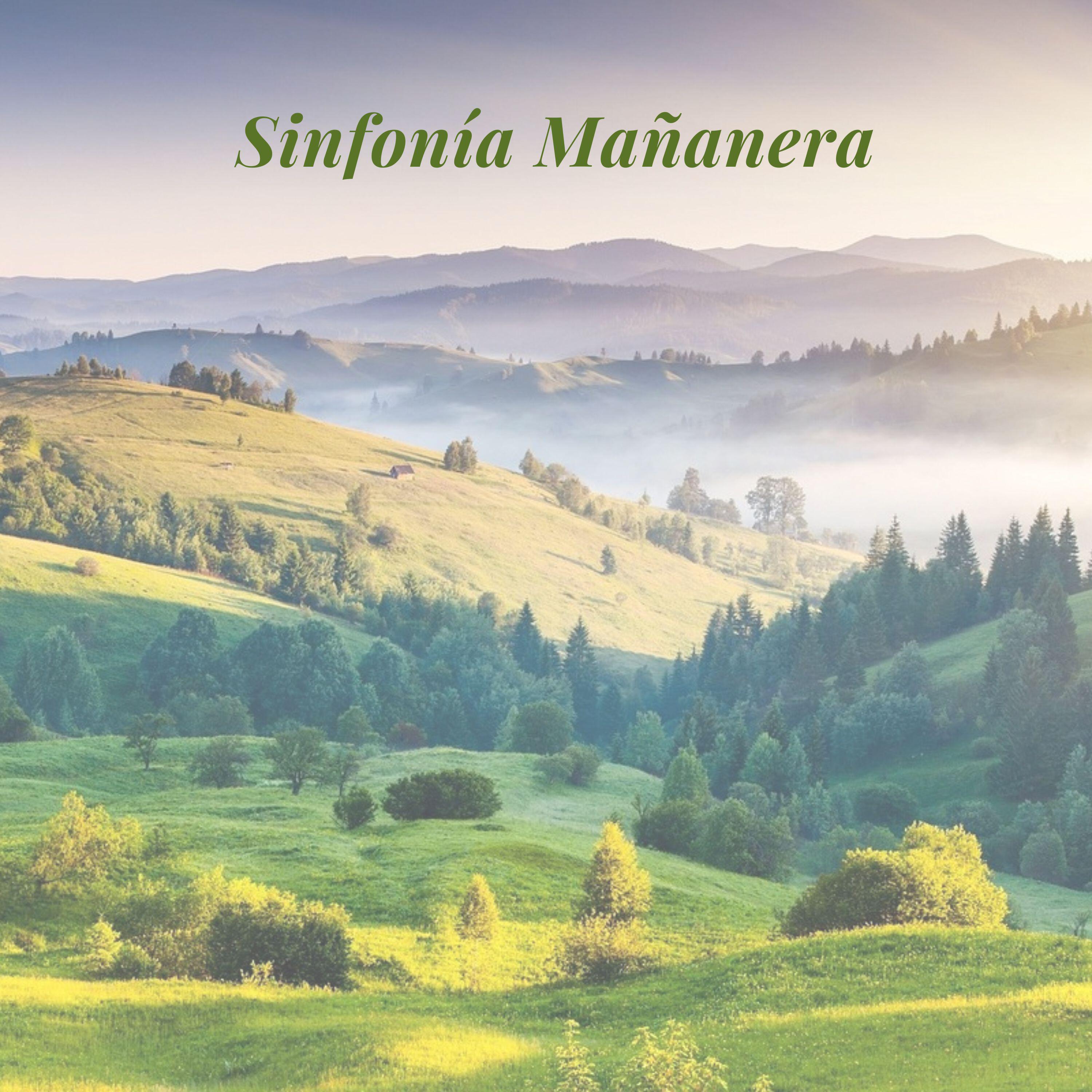 Релиз Sinfonía Mañanera